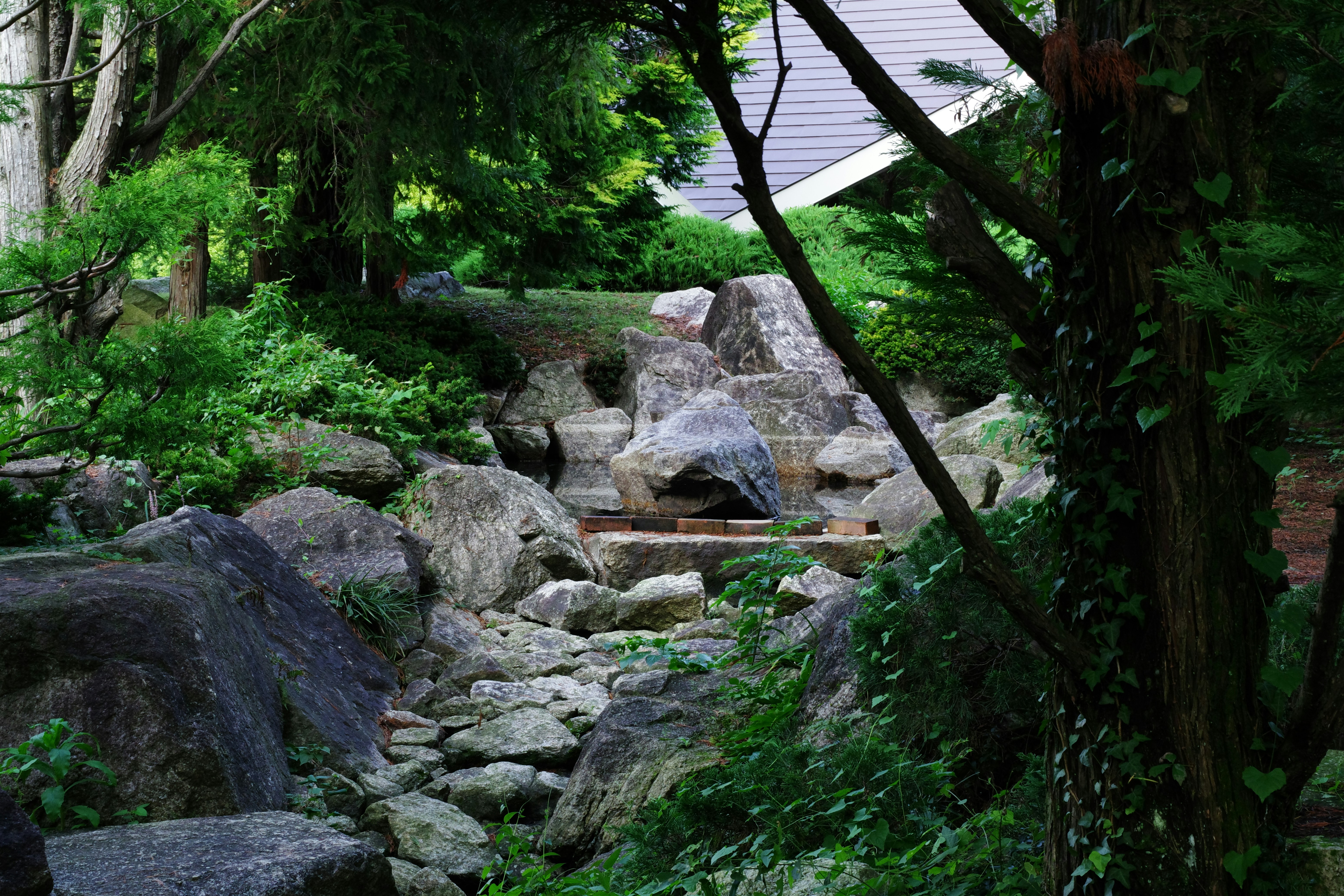 媽啊！我家客廳變皇宮？這招風水擺設，財運爆棚到你不敢信！