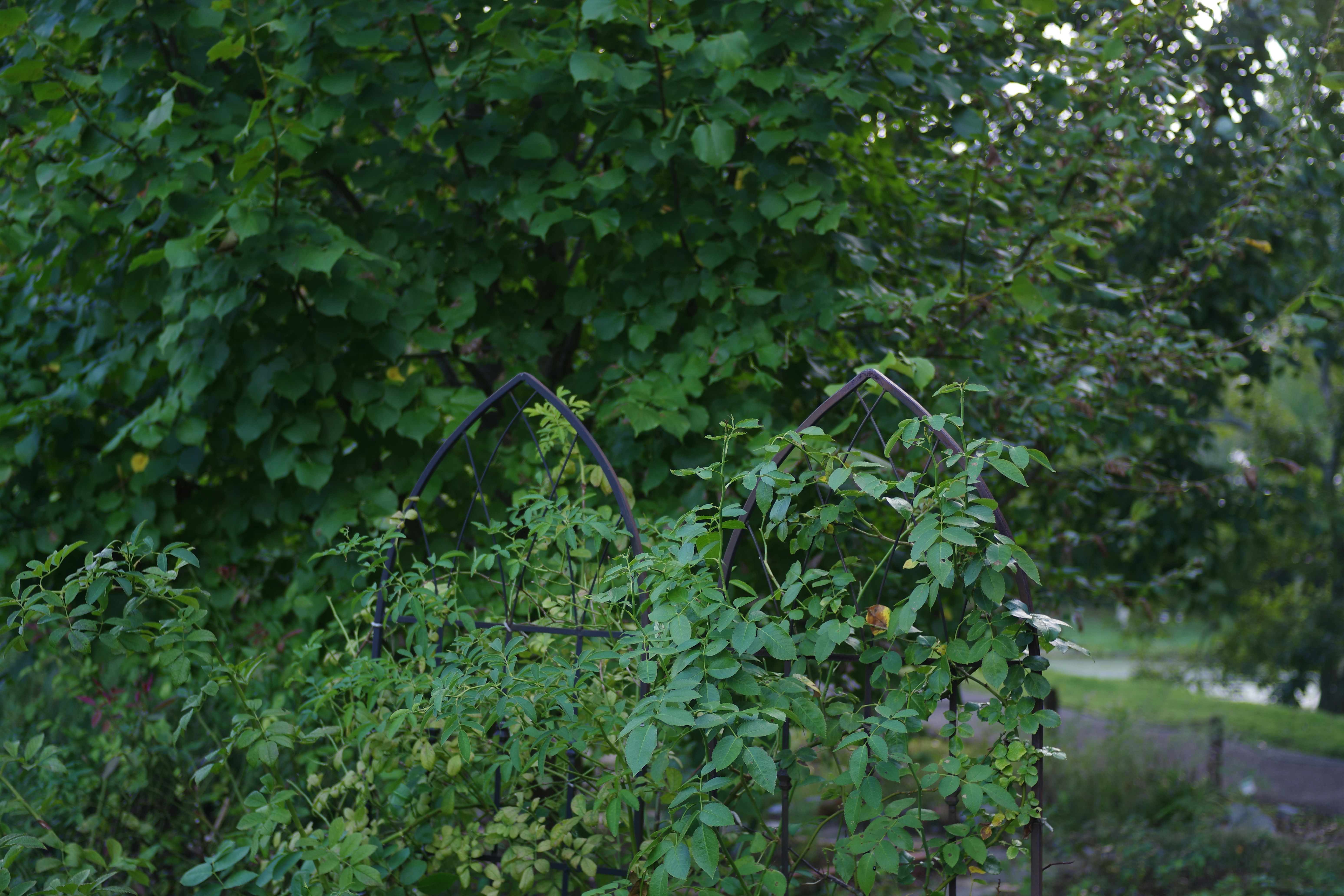 媽呀！居家清潔神器，懶人也能變收納大師？！