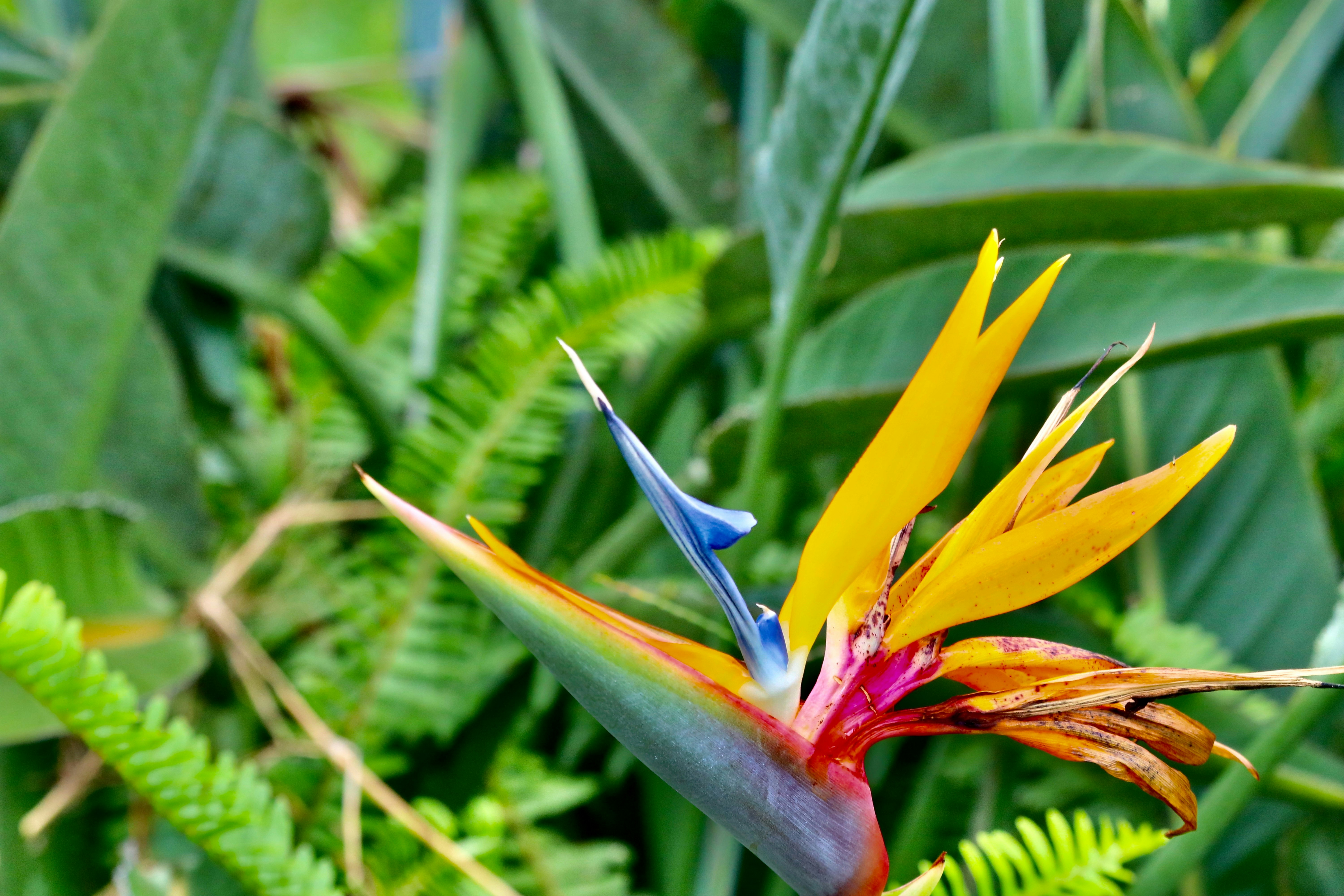 Photo by missylynnarts