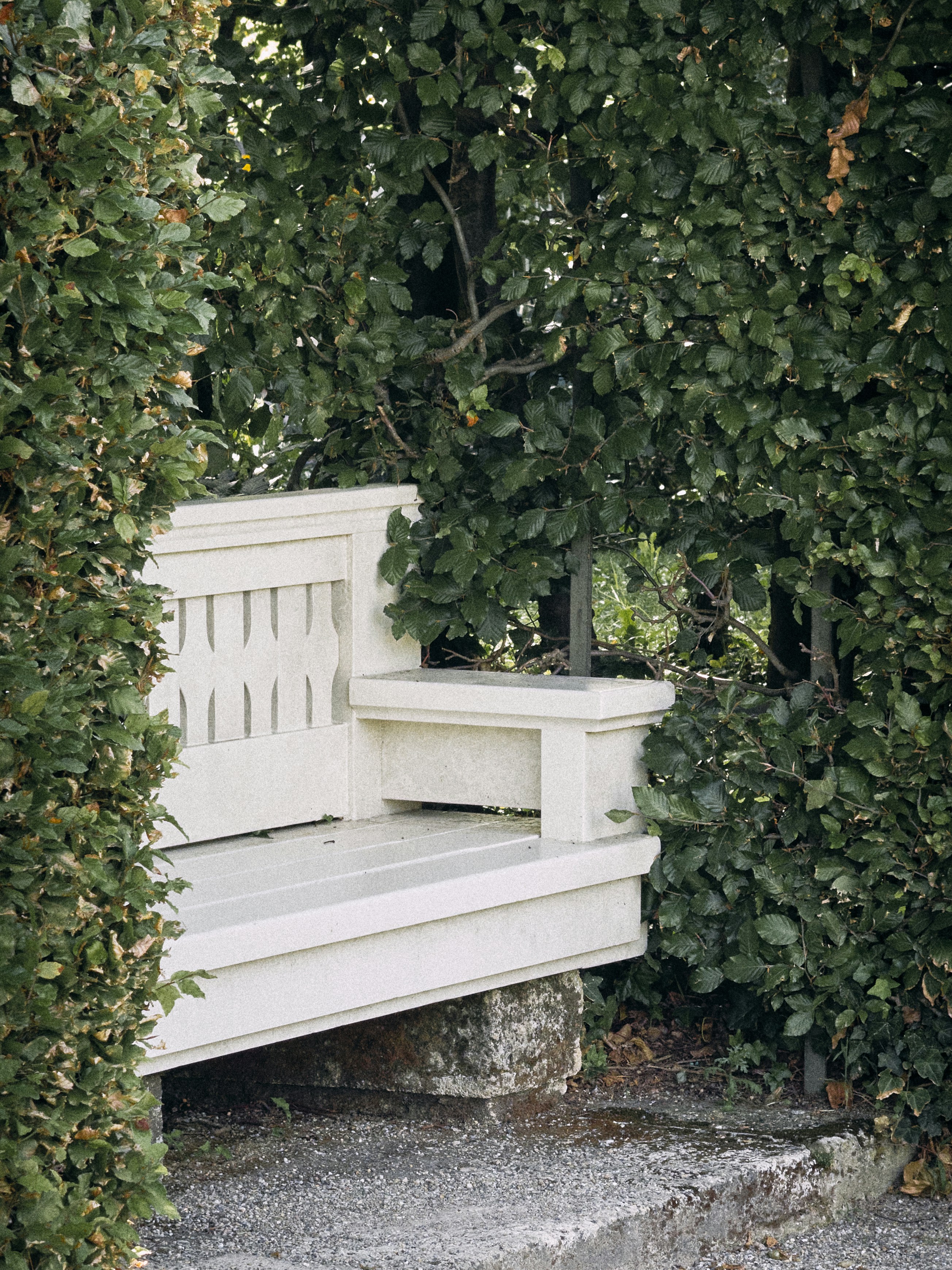 Um banco branco cercado por árvores e arbustos