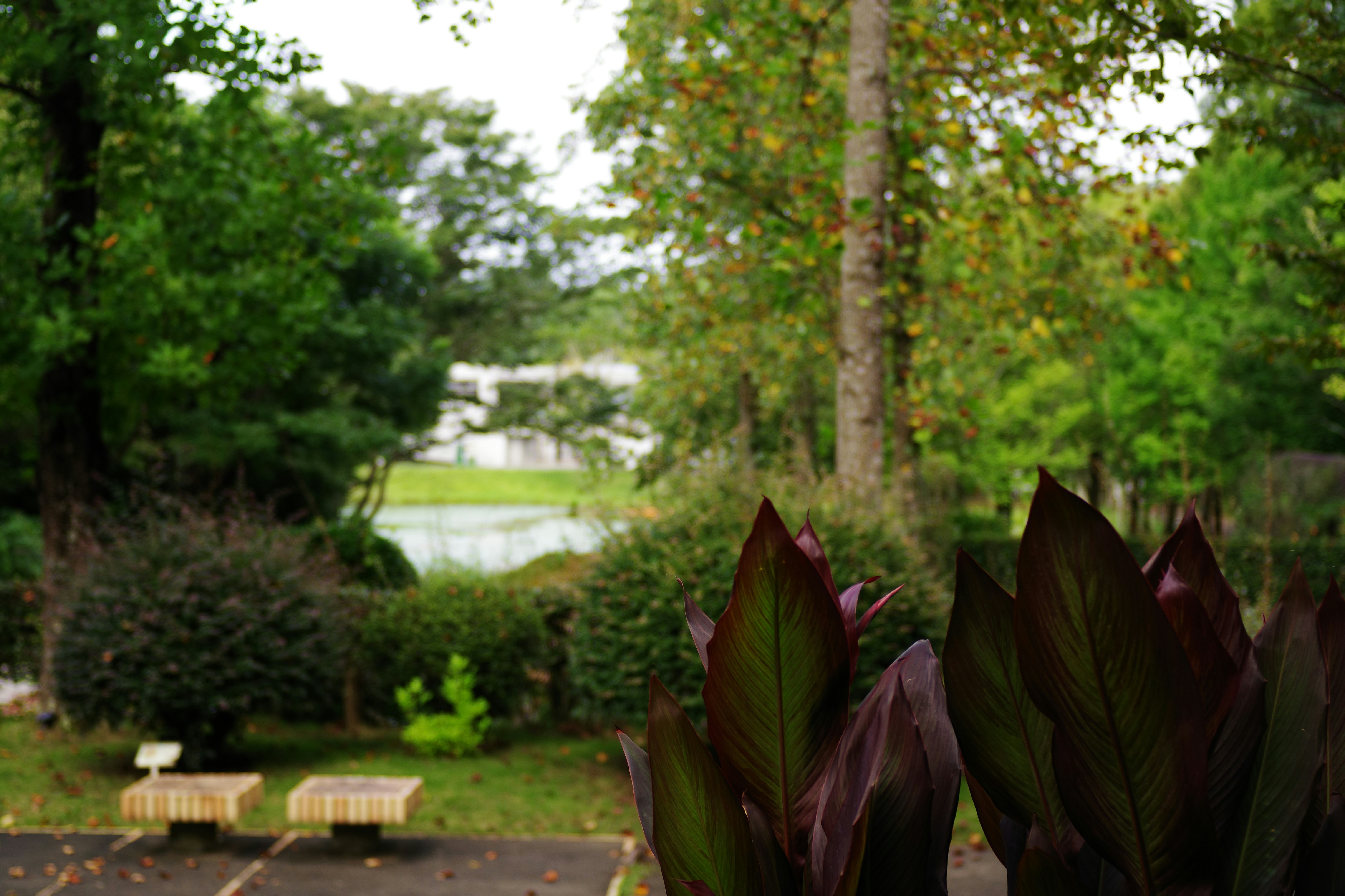 😱震驚！90%的人都搞錯，這樣佈置家裡衰到爆！