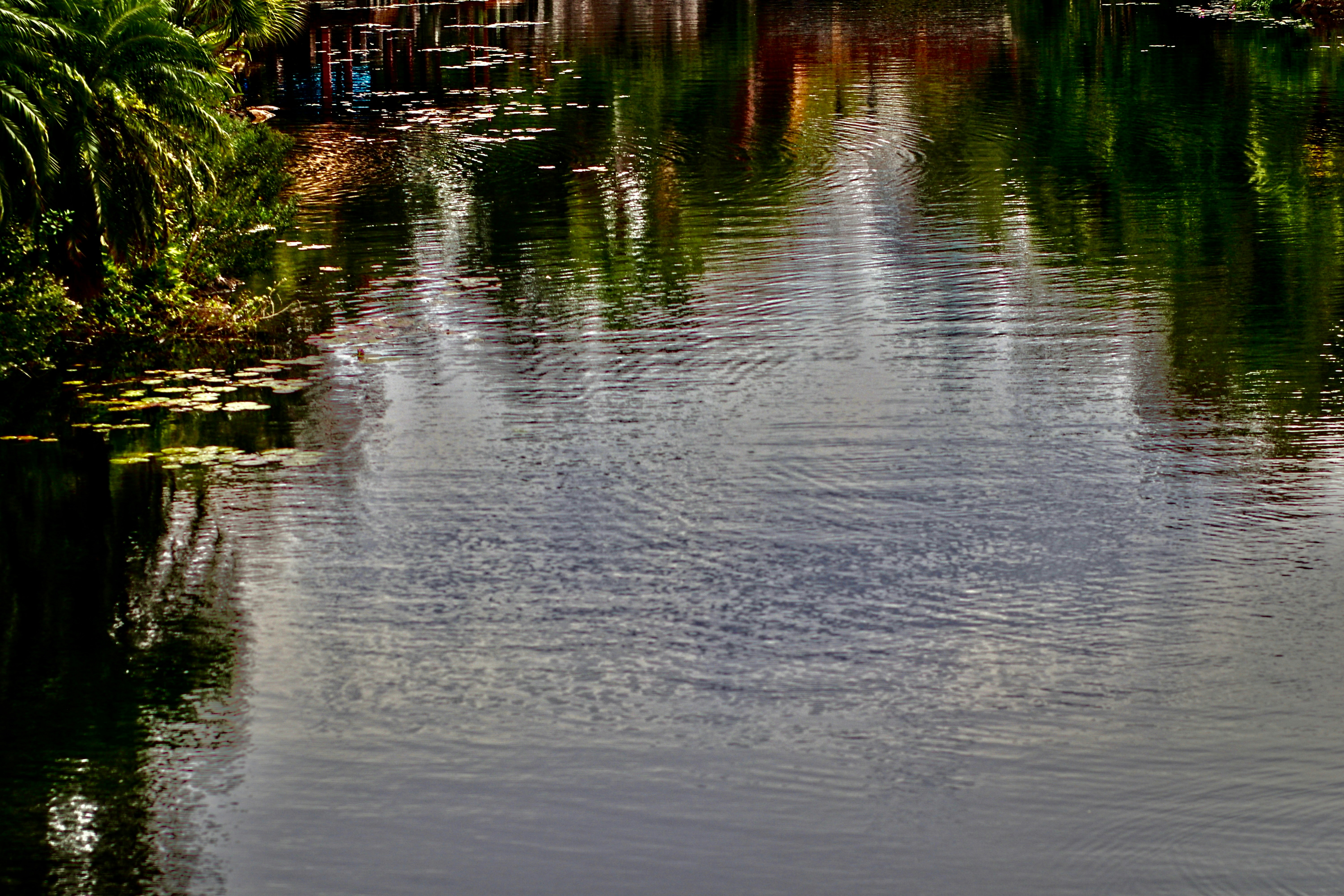 Photo by missylynnarts