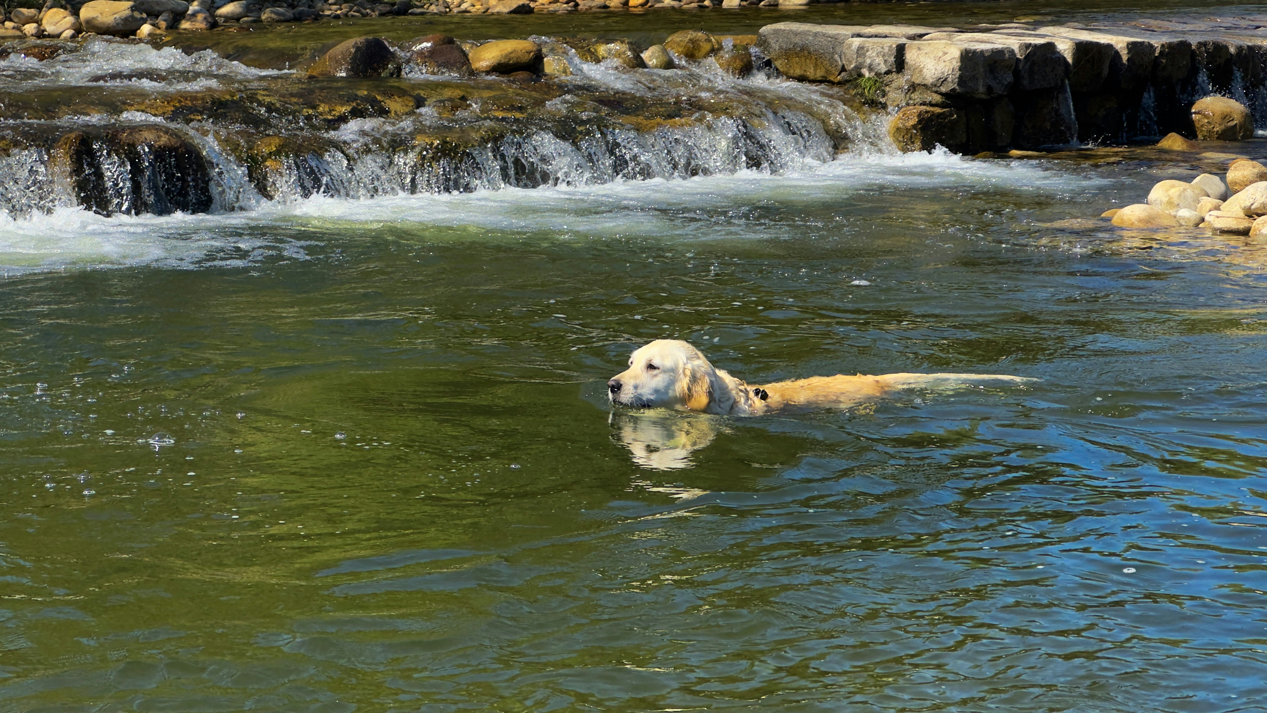 Photo by archange1michael