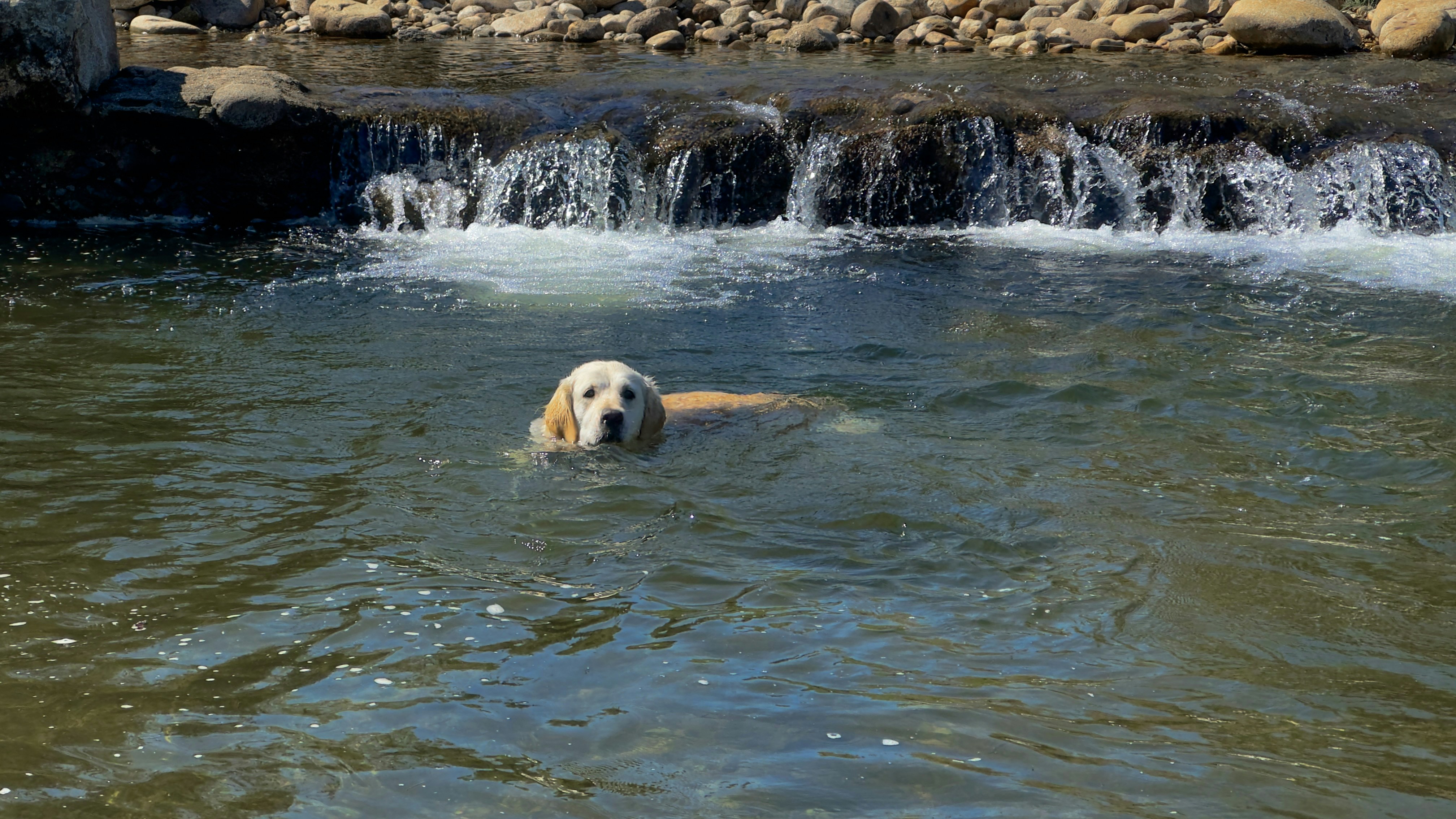 Photo by archange1michael