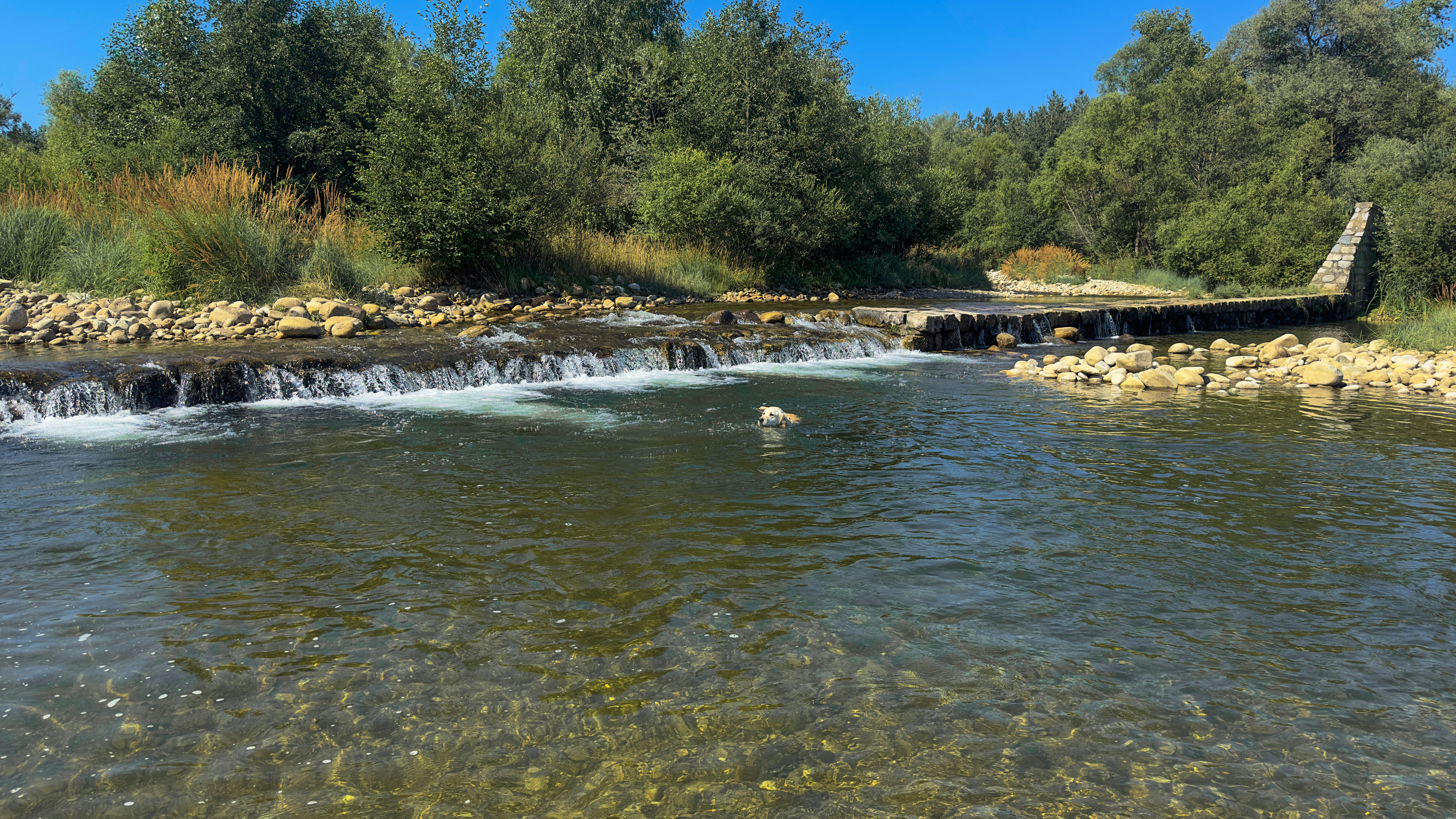 Photo by archange1michael