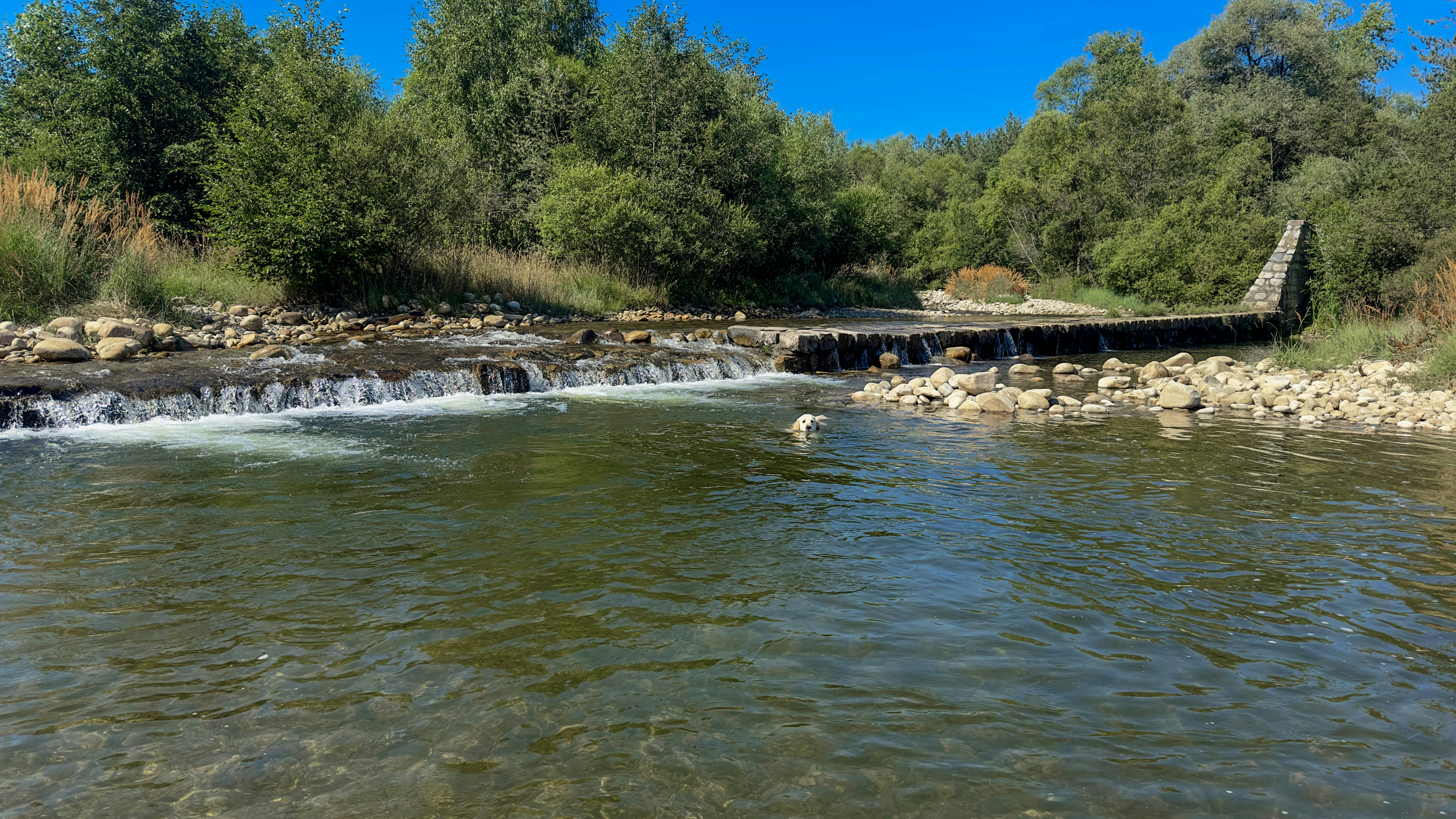 Photo by archange1michael