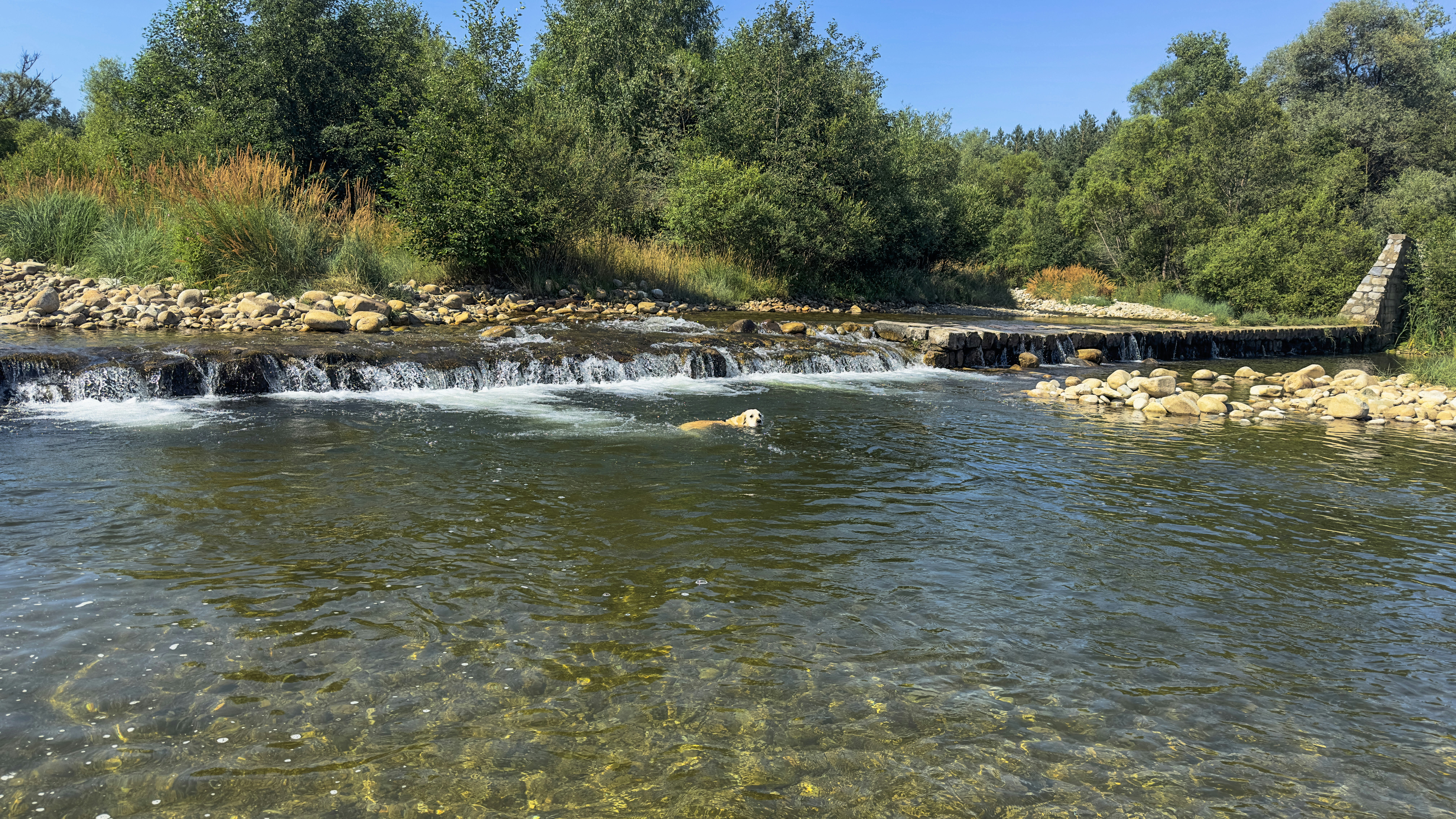 Photo by archange1michael