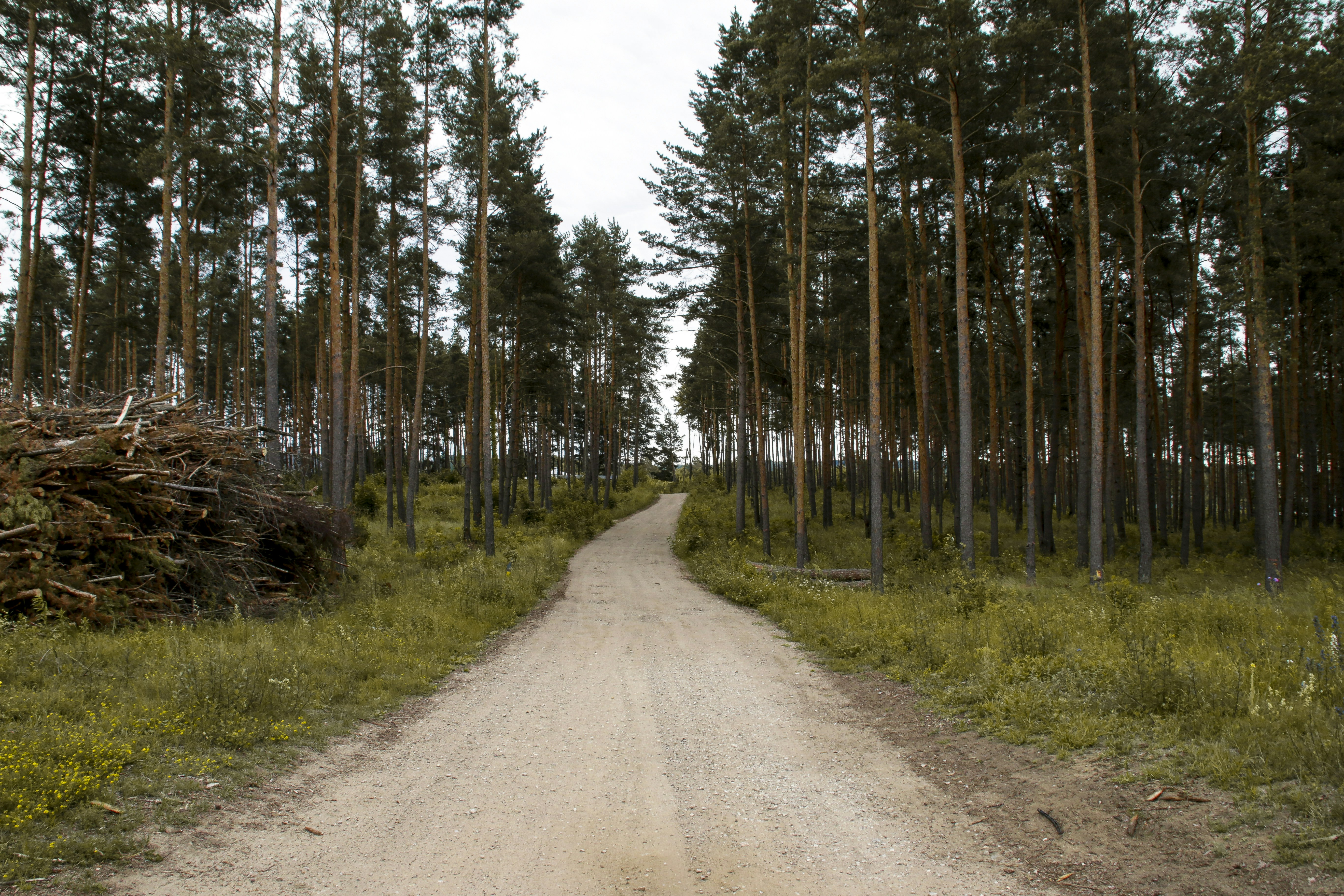 Photo by yaroslav_kush