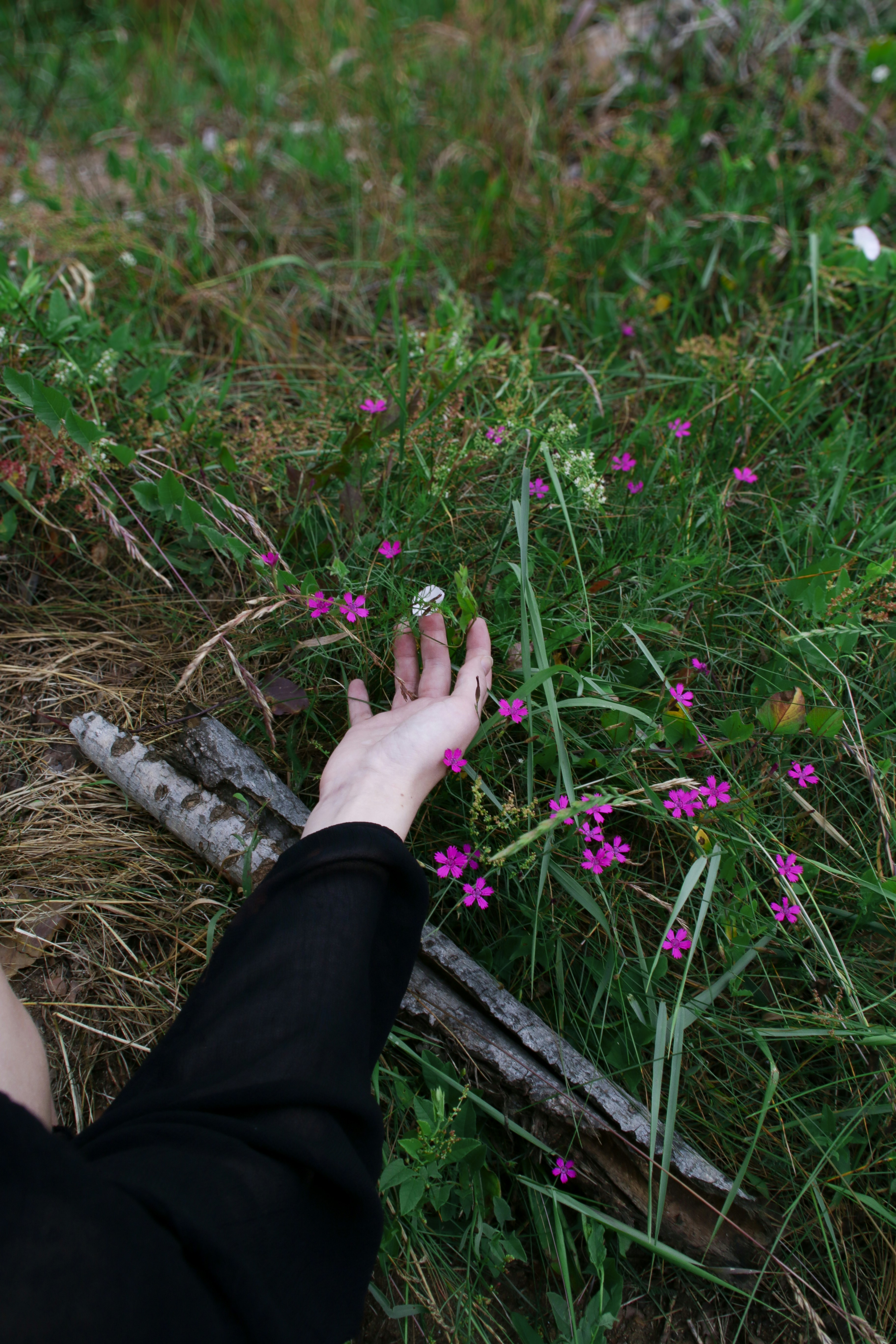 Photo by yaroslav_kush