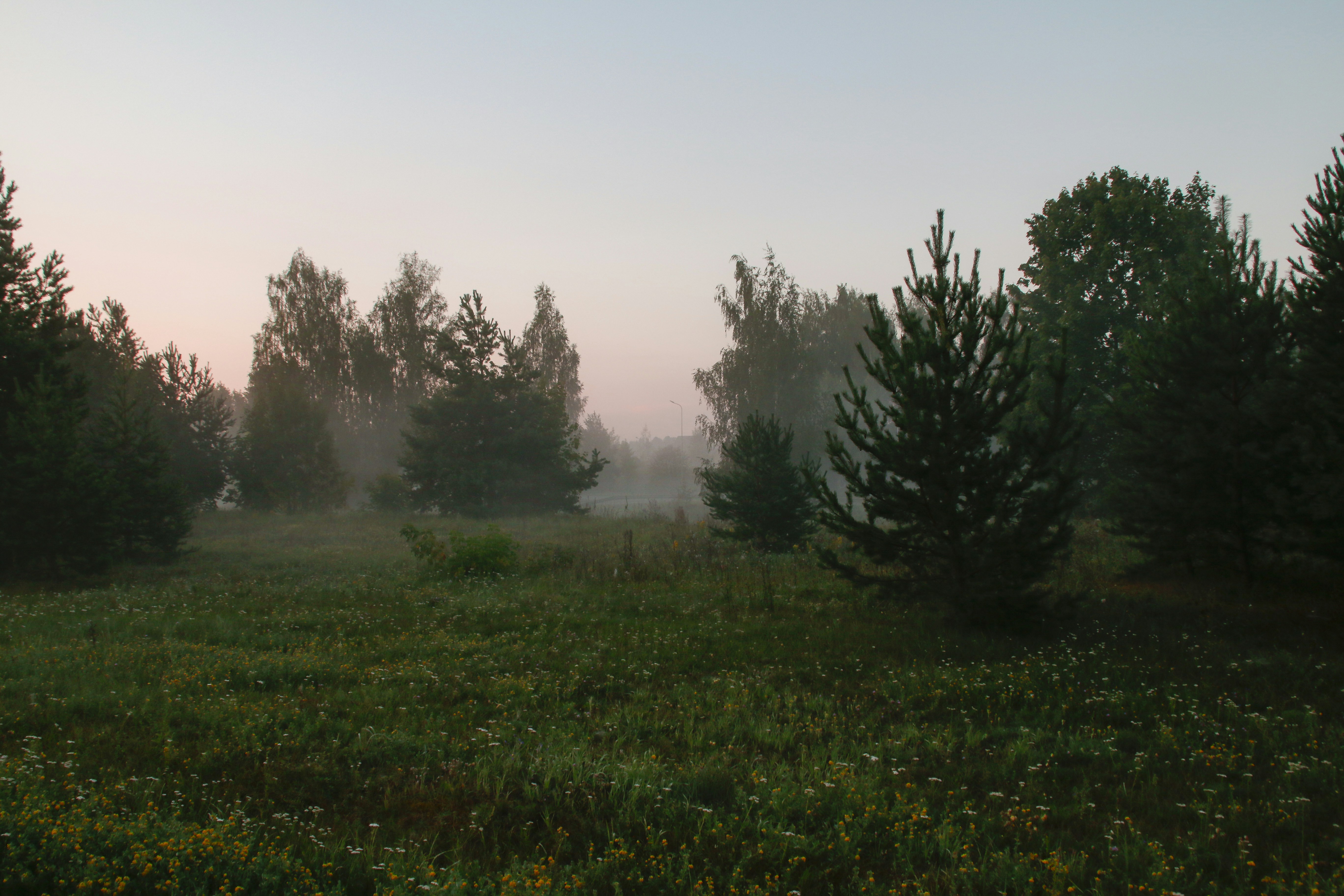 Photo by yaroslav_kush