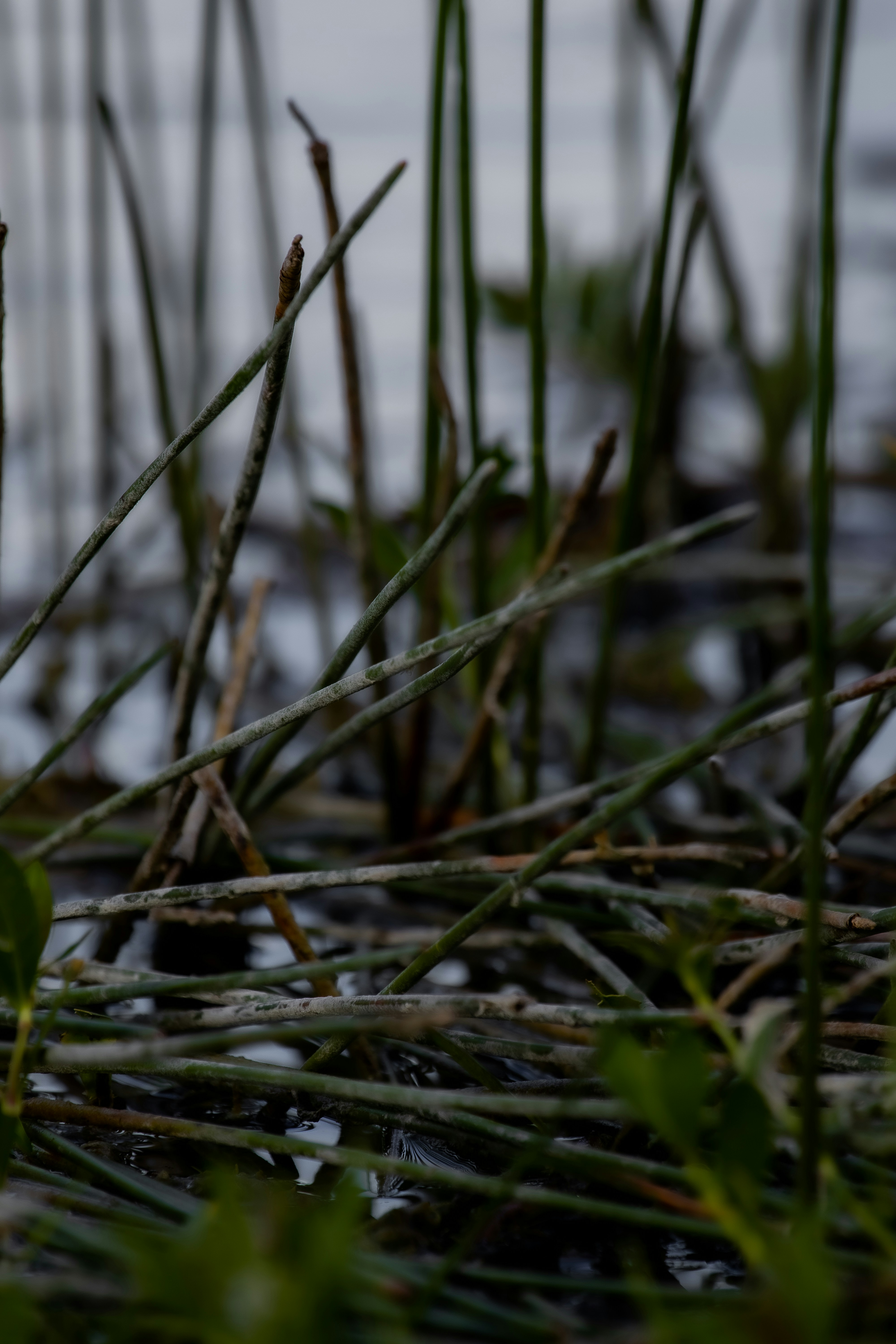 Photo by adriancross05
