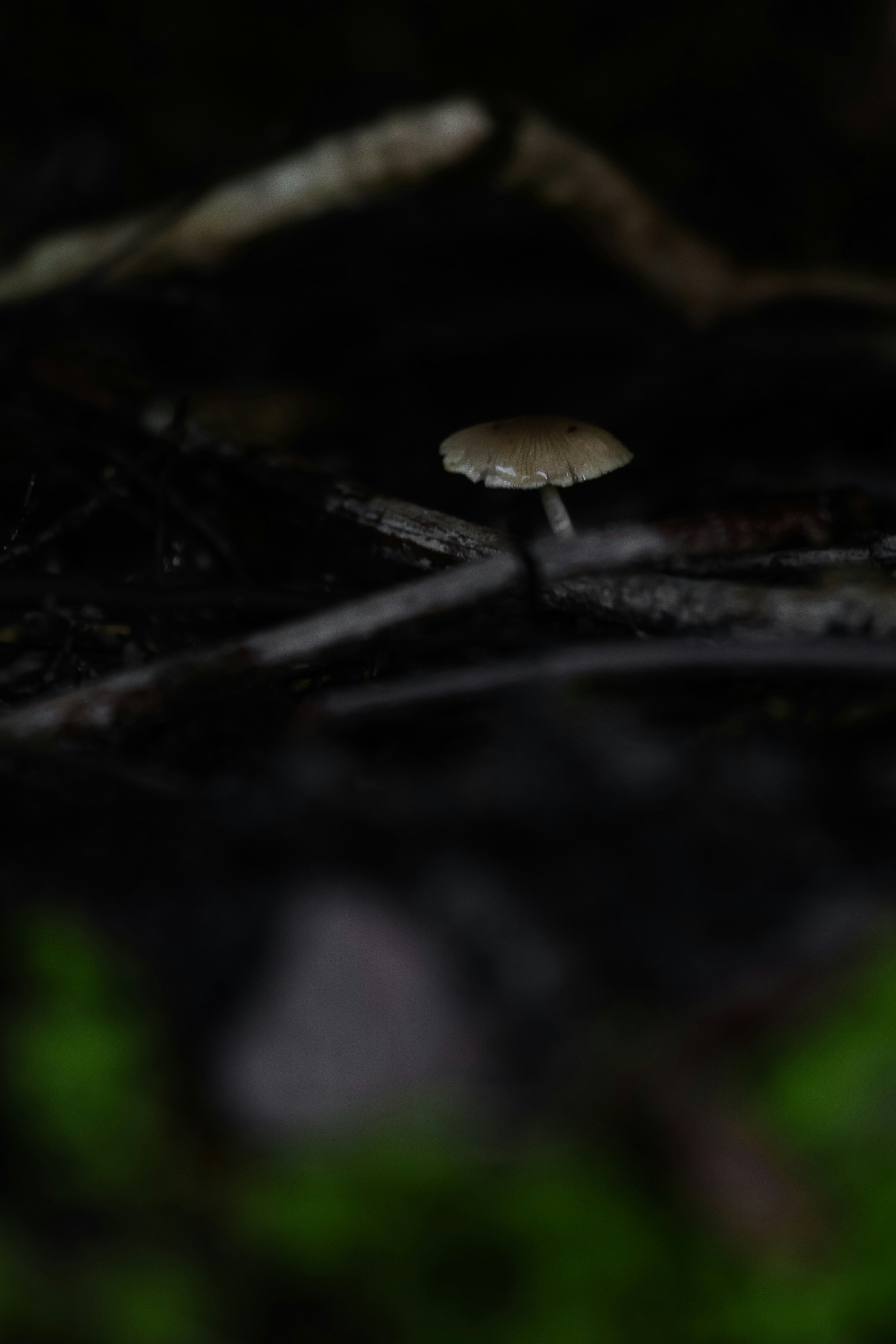 Photo by adriancross05