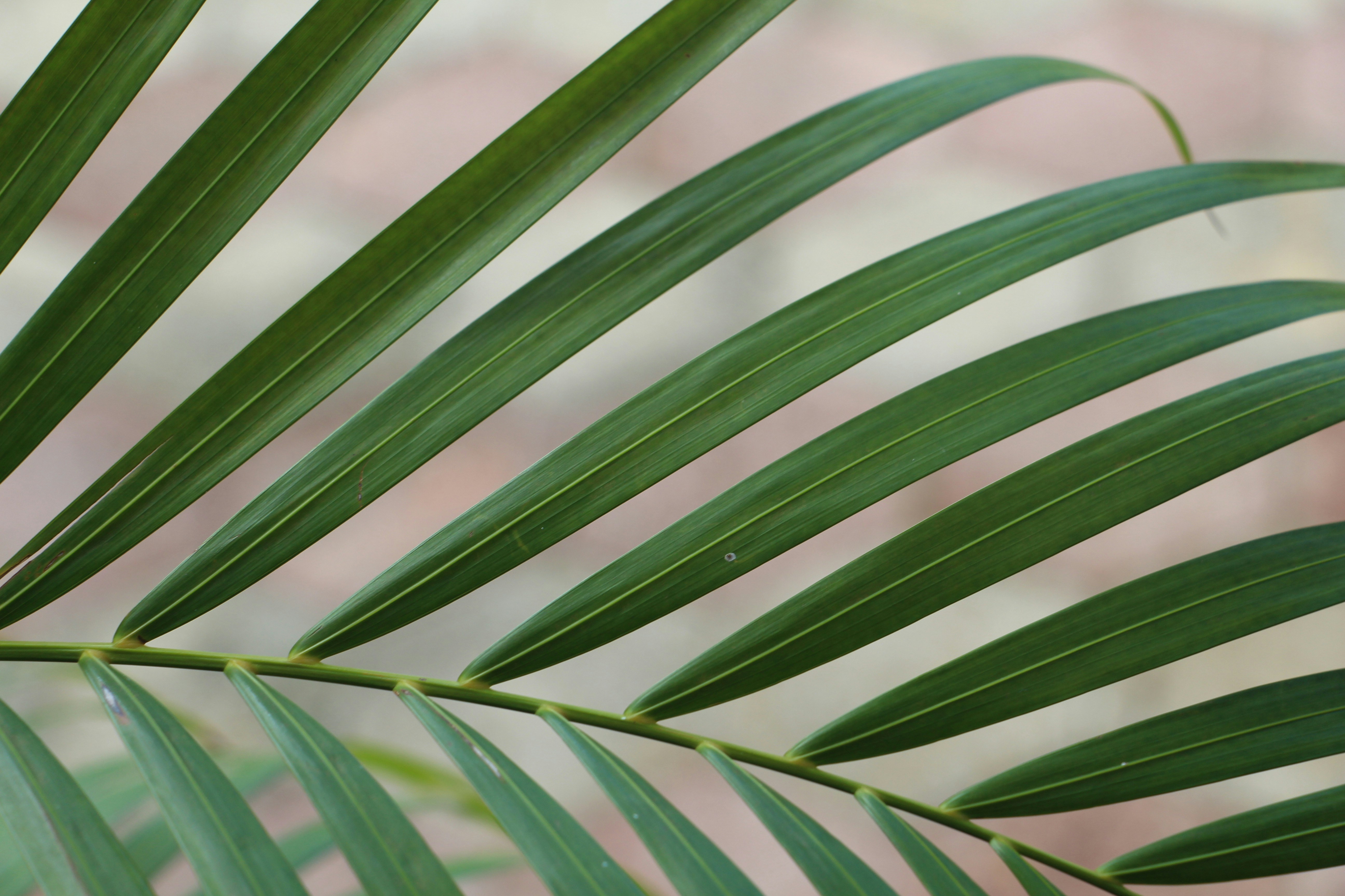 Photo by naturaleza_general