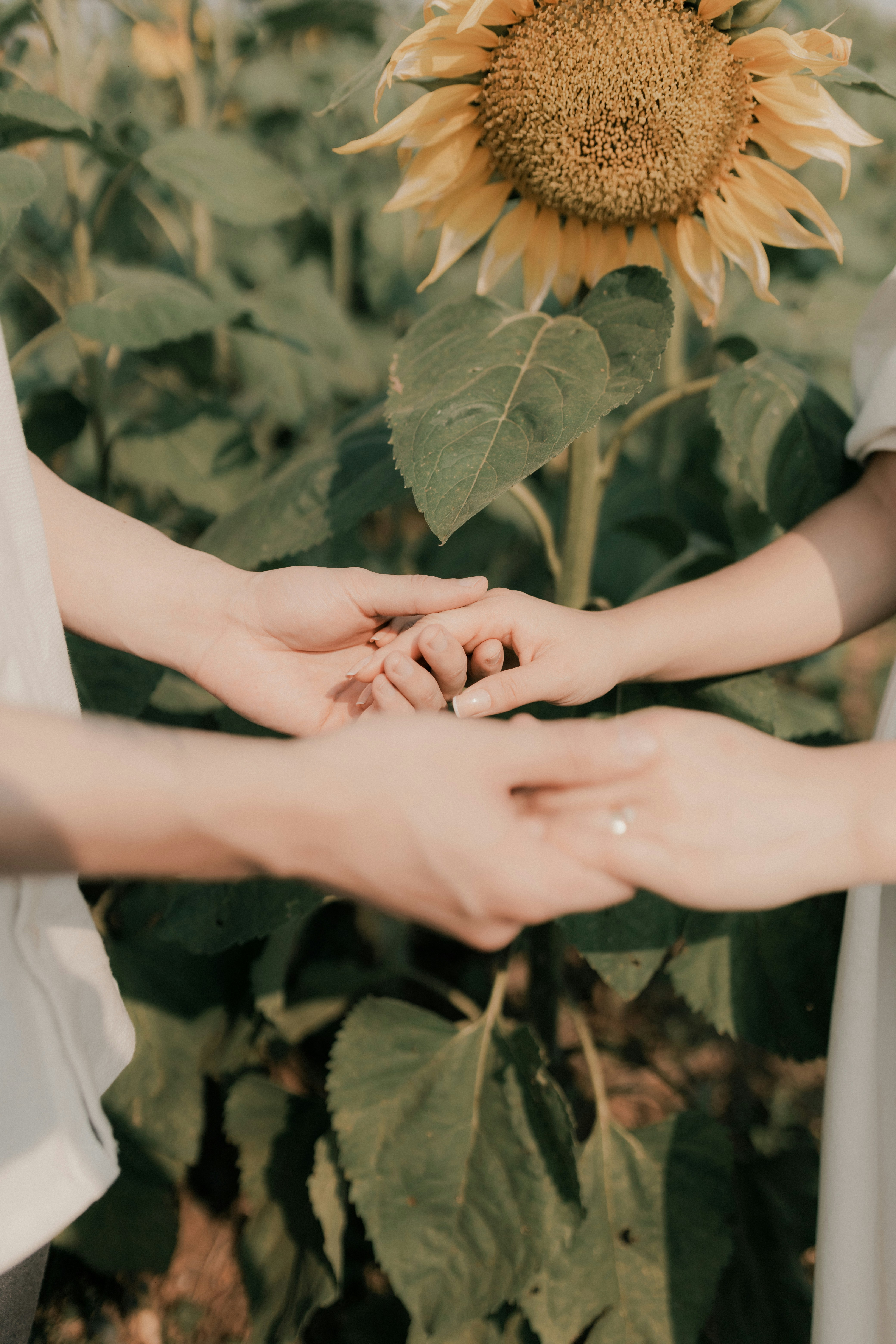 Photo by alexandermassph