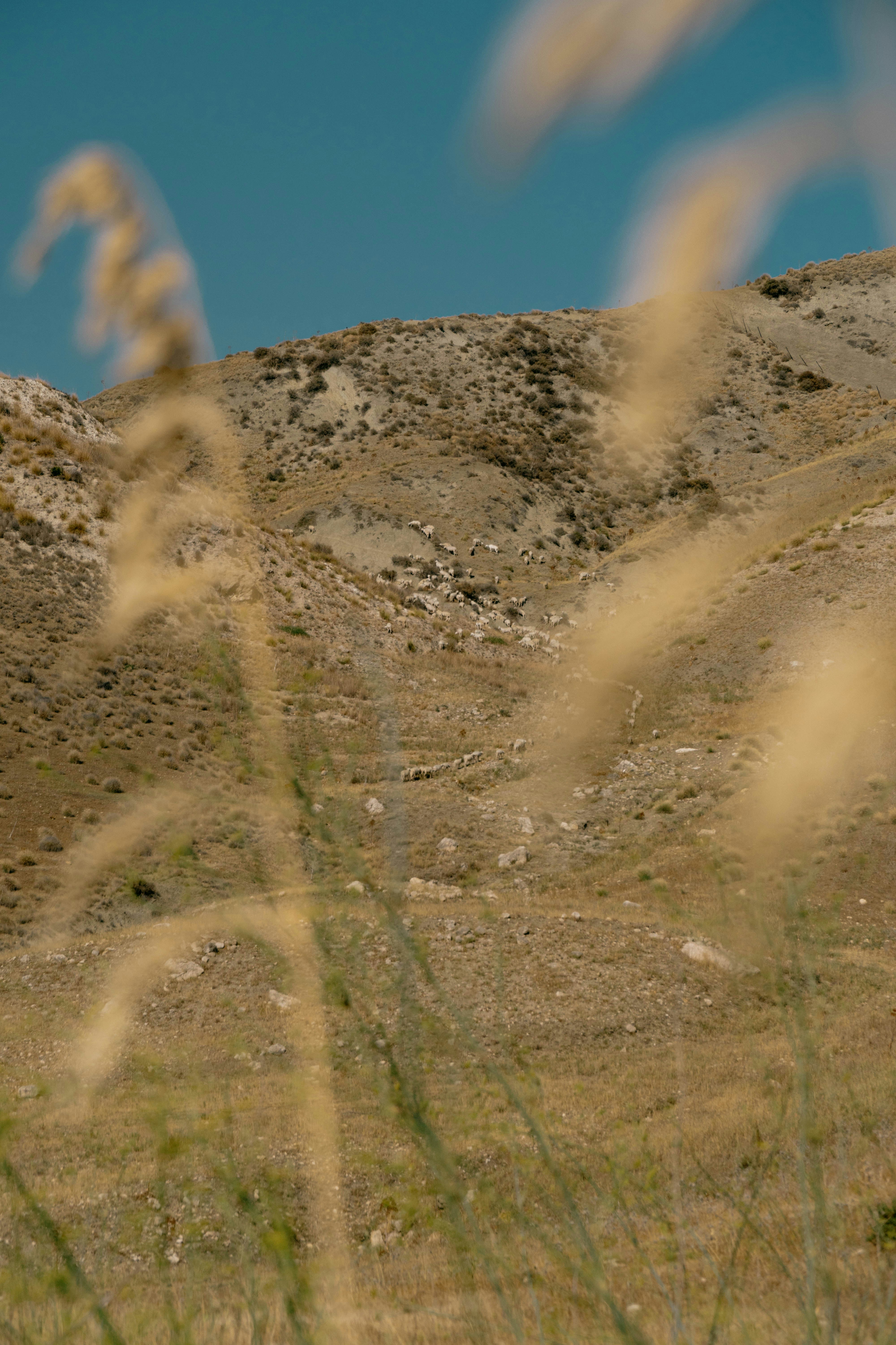 Photo by mrpeppeocchipinti