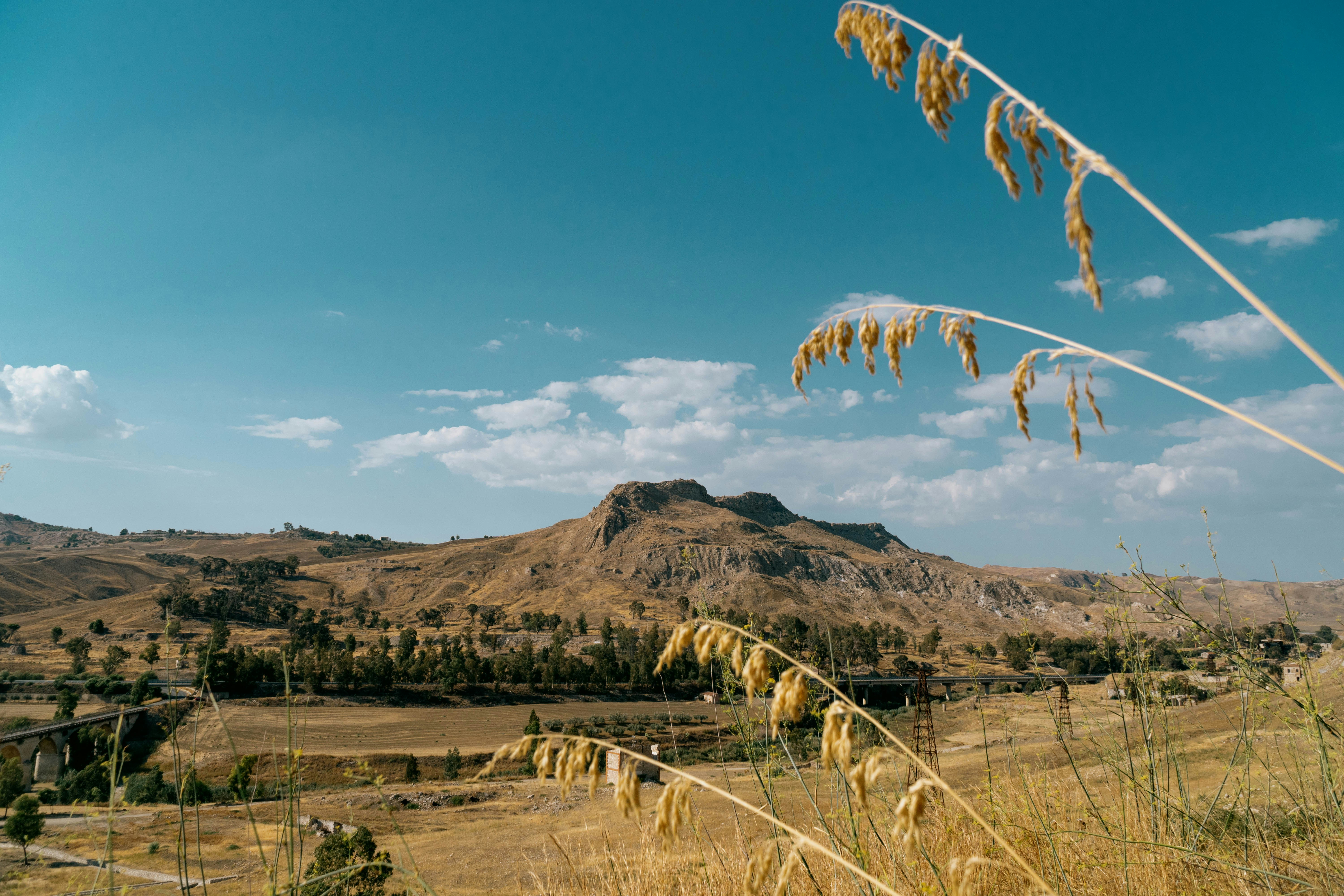 A view of a field with a mountain in the background, 