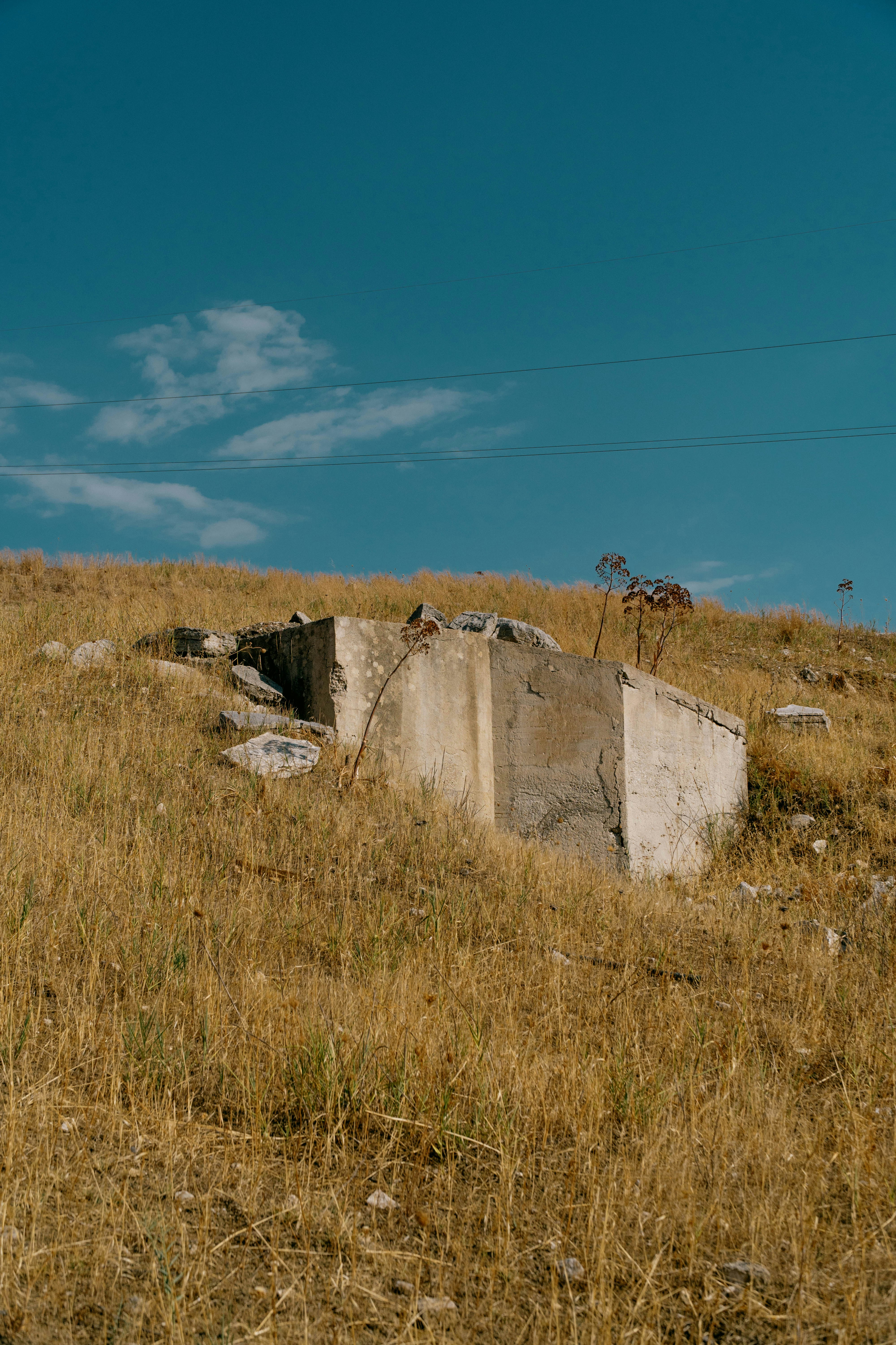 Photo by mrpeppeocchipinti