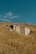 An abandoned building sitting in a dry grass field