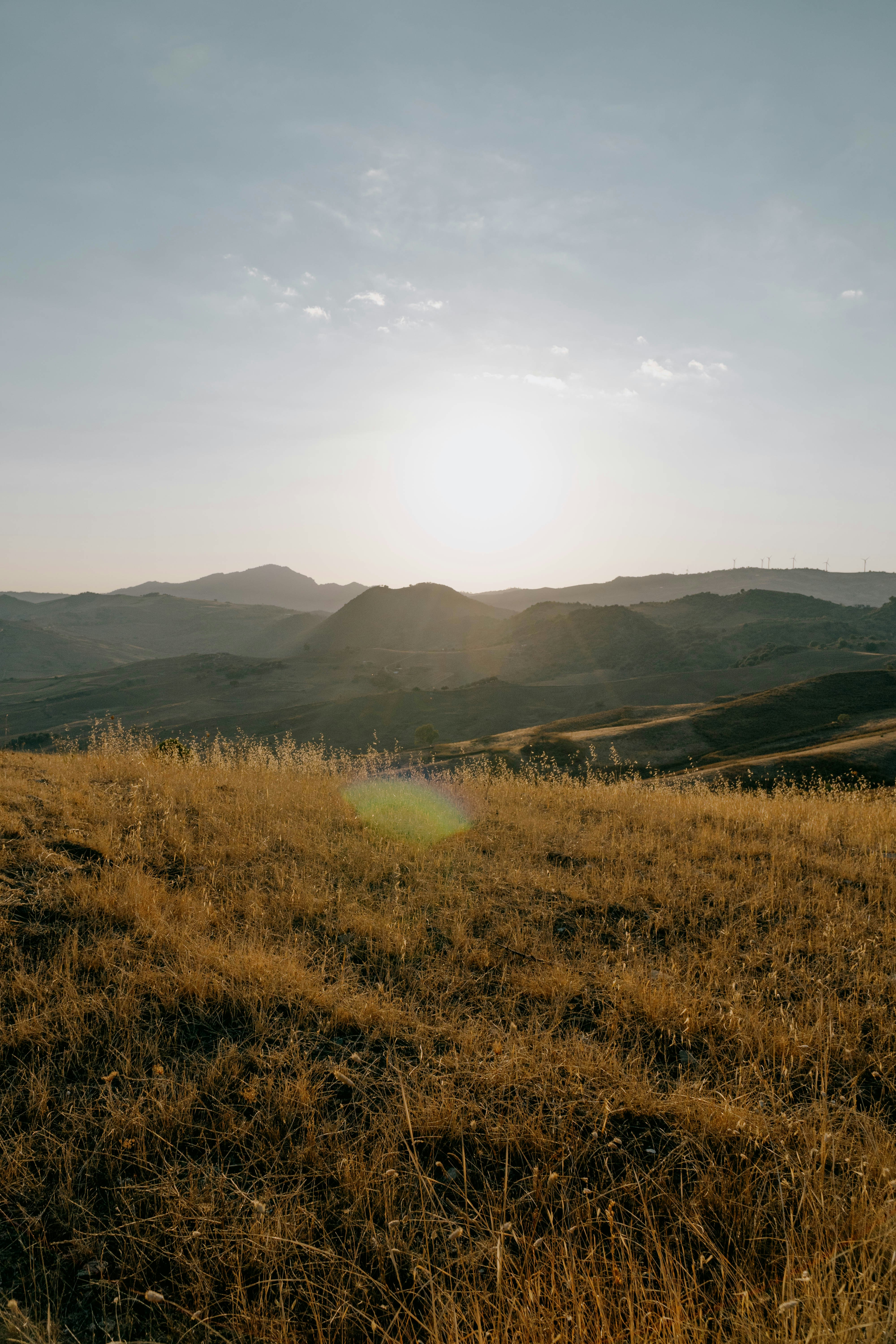 Photo by mrpeppeocchipinti