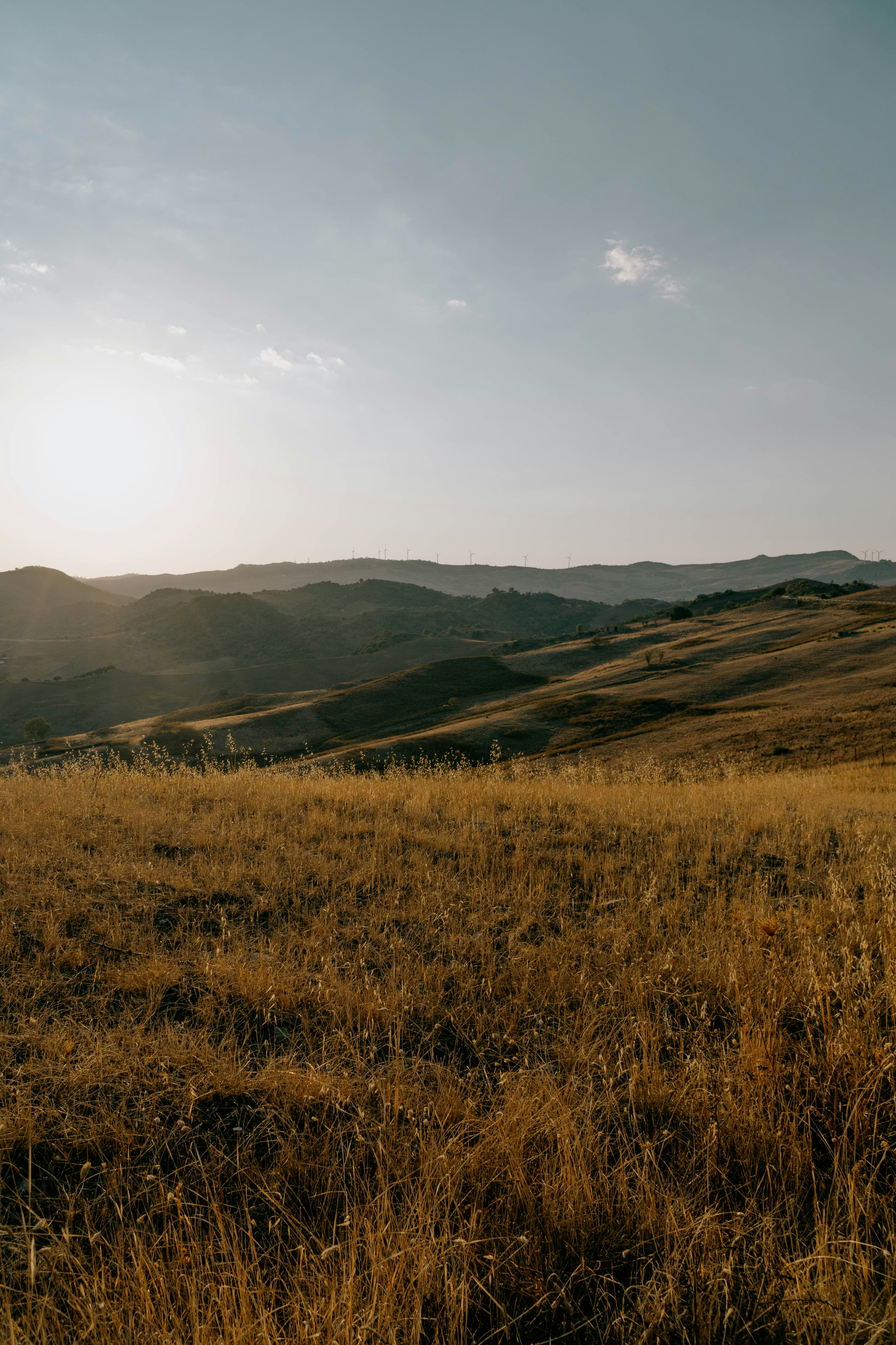 Photo by mrpeppeocchipinti