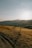 A dirt road in a field with mountains in the background