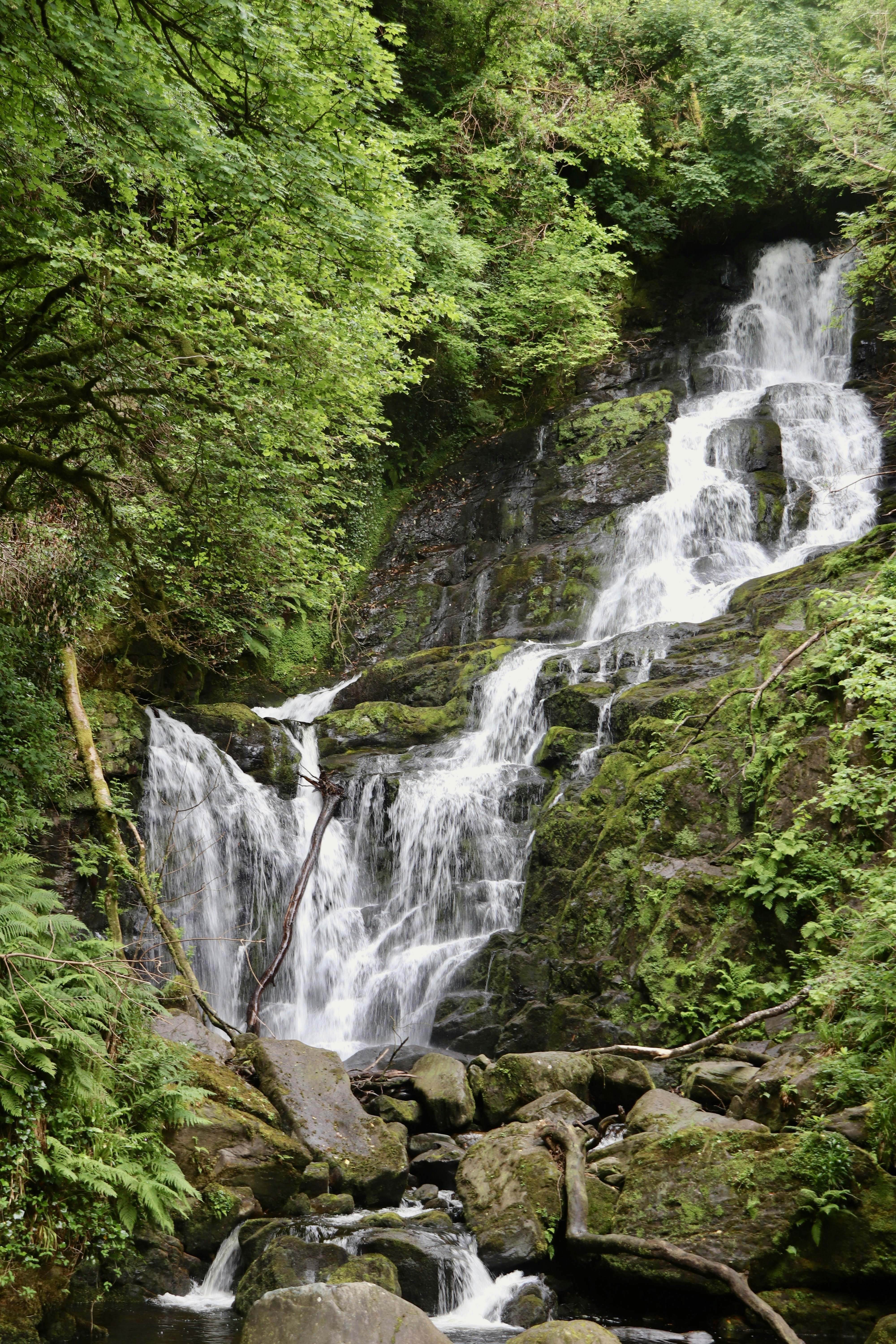 Photo by oliviapedler