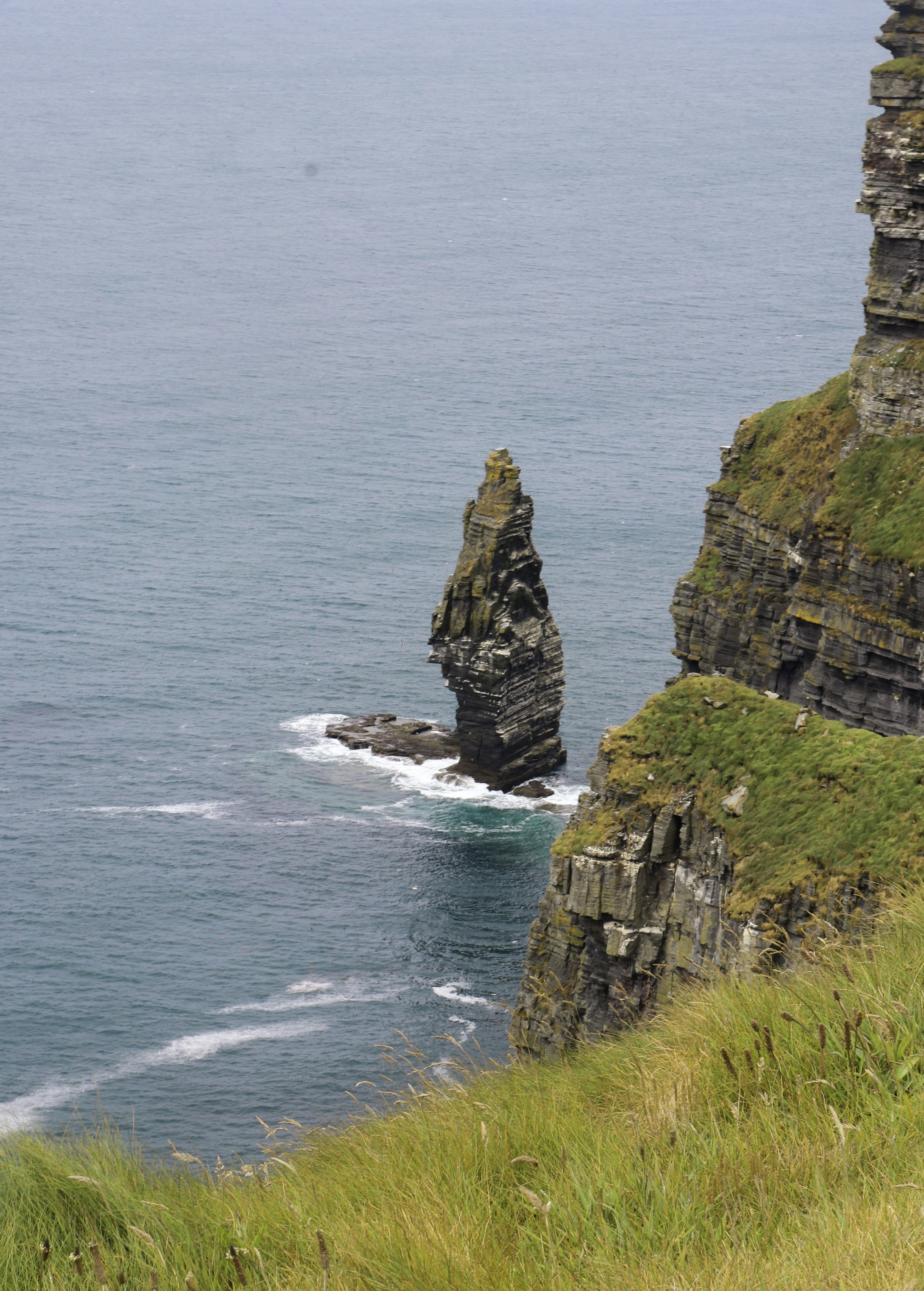 Photo by oliviapedler