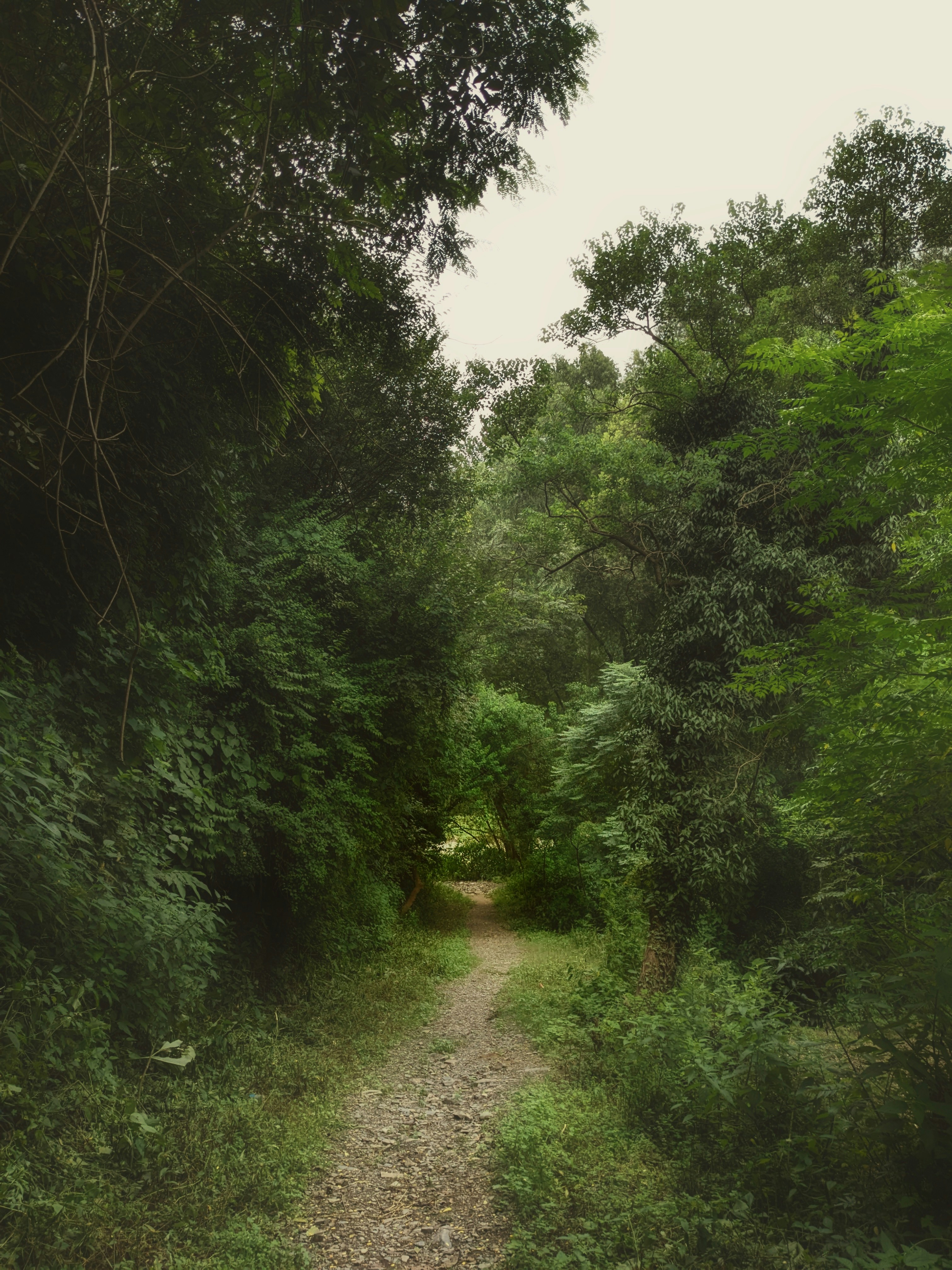 Photo by mohammedhishamhussain