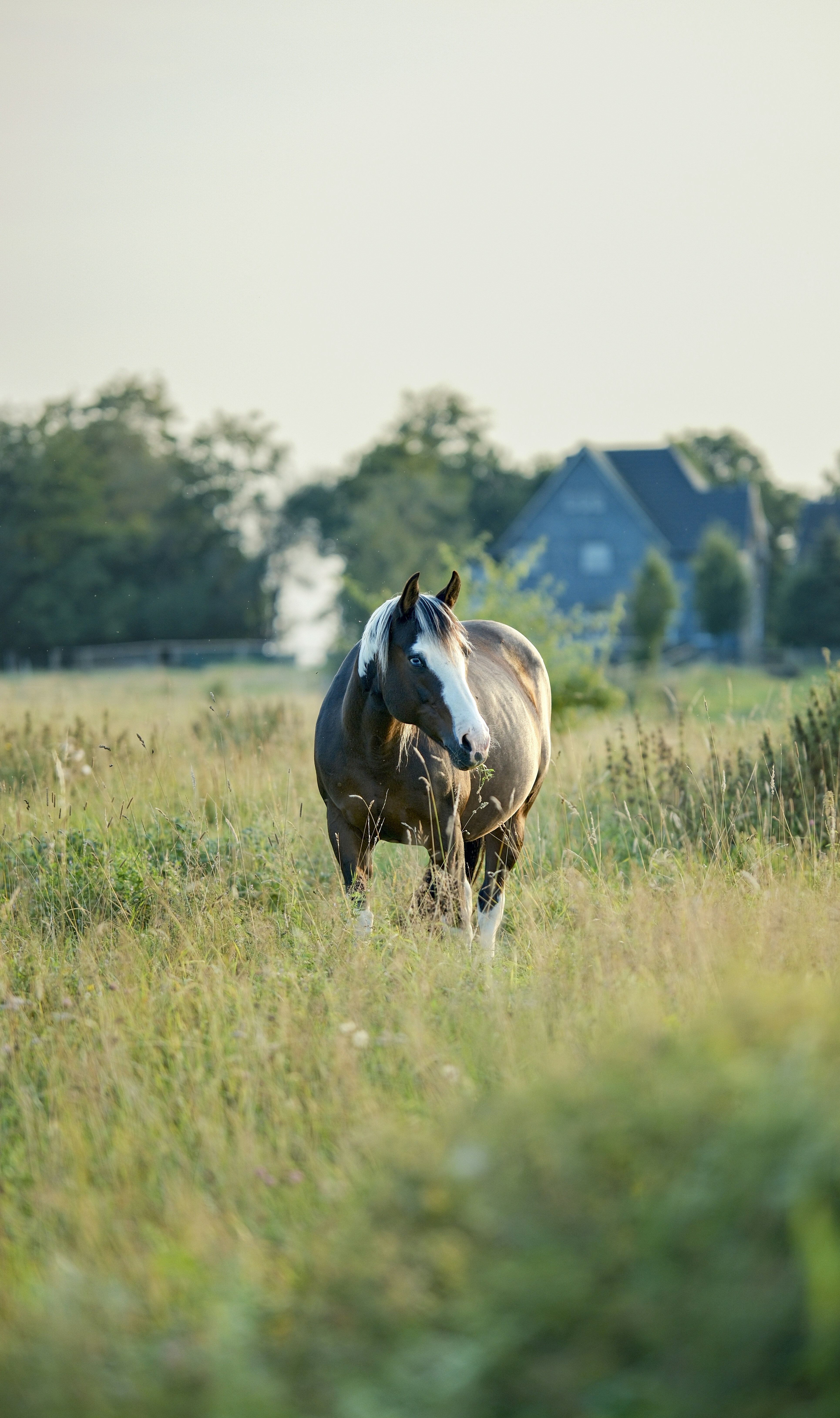 Photo by real_robster