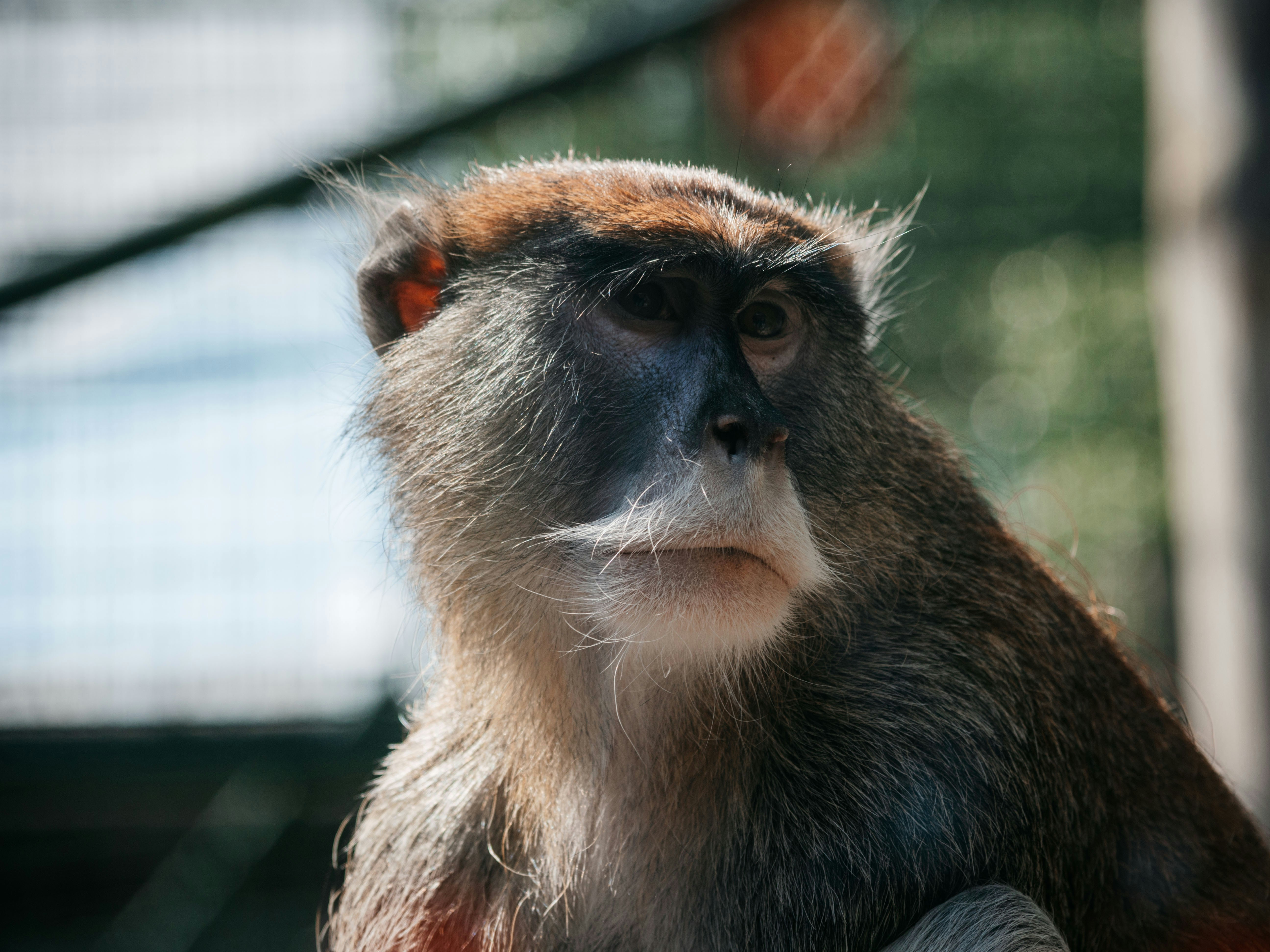 Photo by mszerszynski