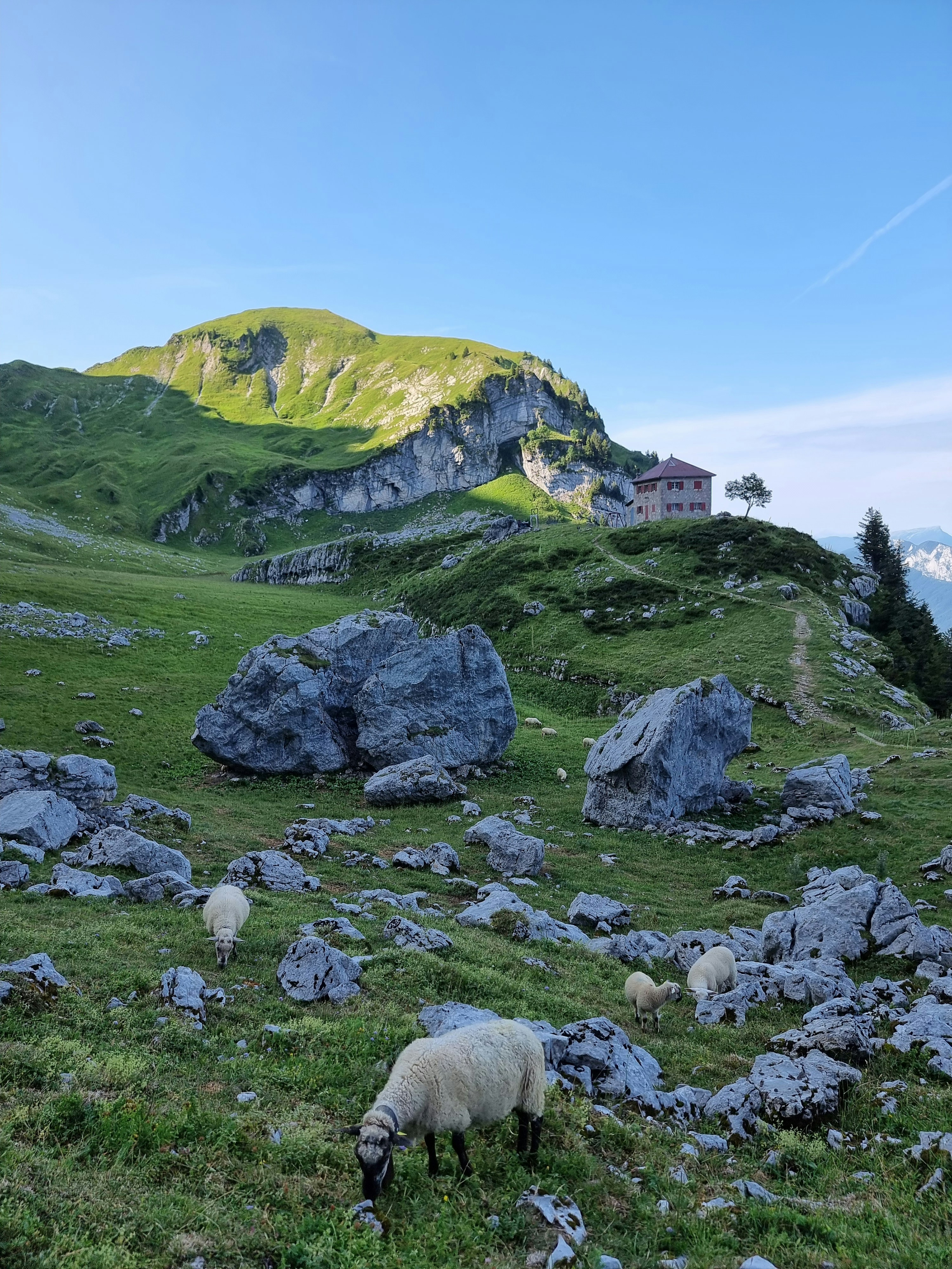 Photo by godefroyboutet