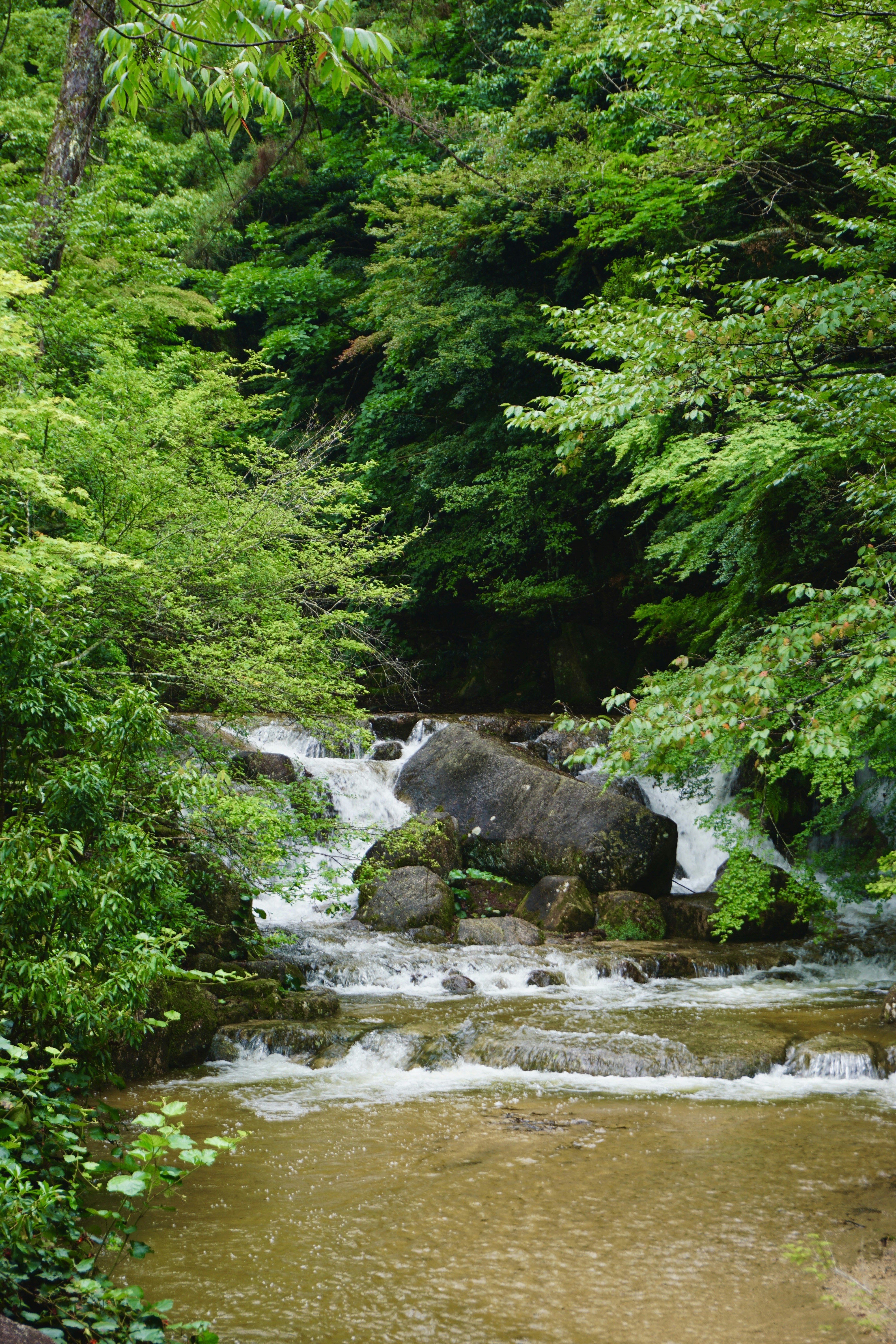 Photo by syria_polidoro