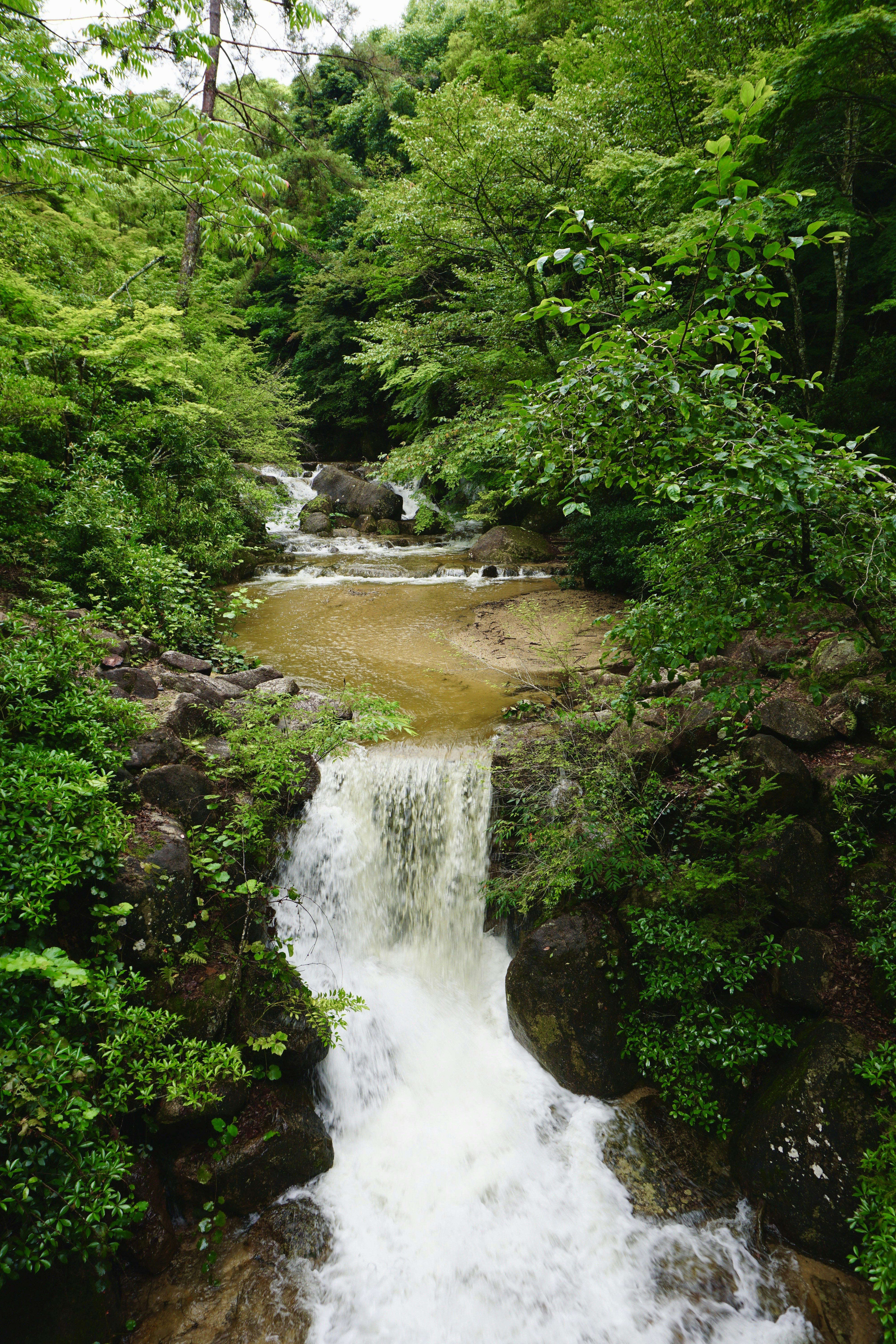 Photo by syria_polidoro