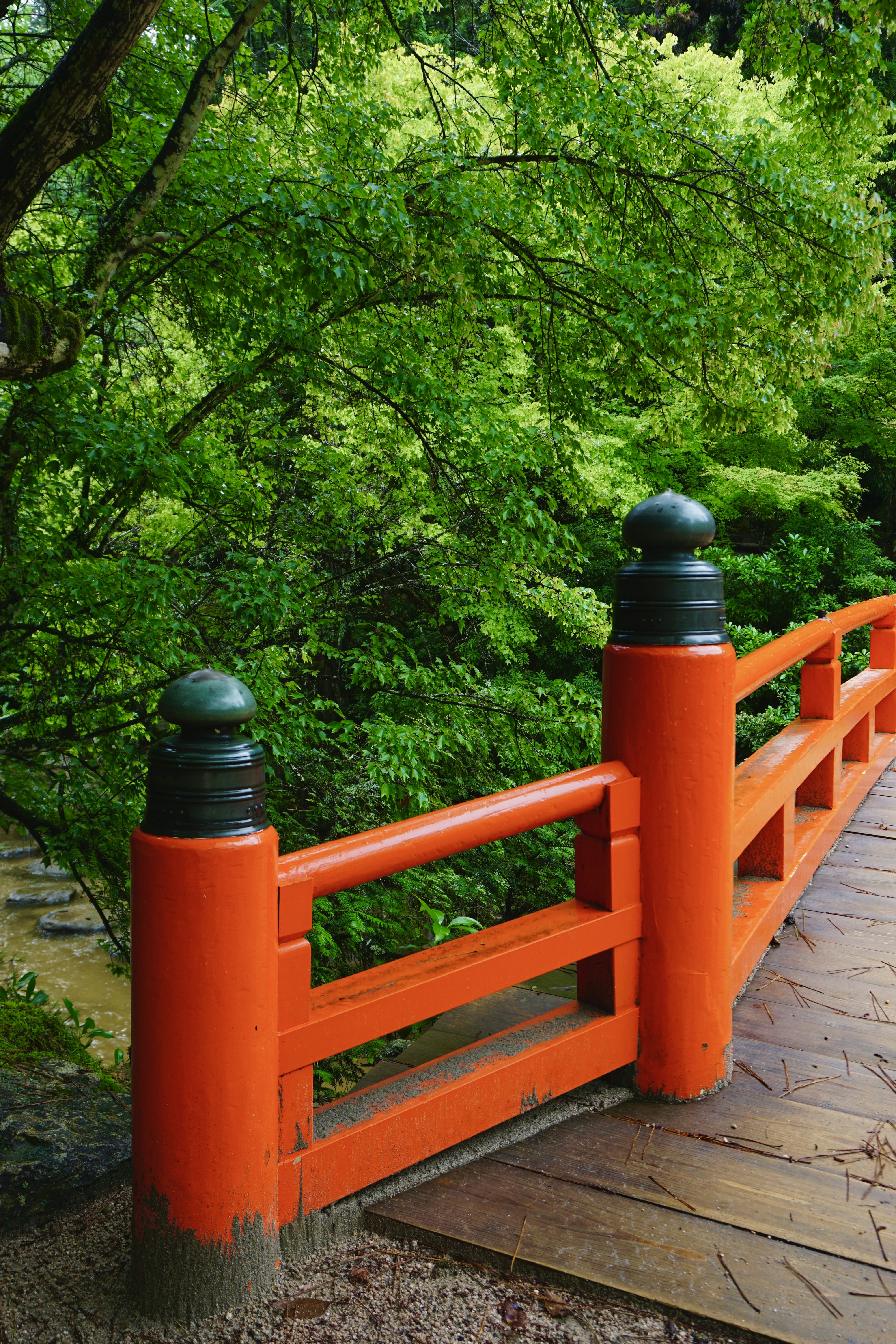 Photo by syria_polidoro