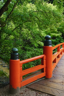 A wooden bridge over a stream surrounded by trees