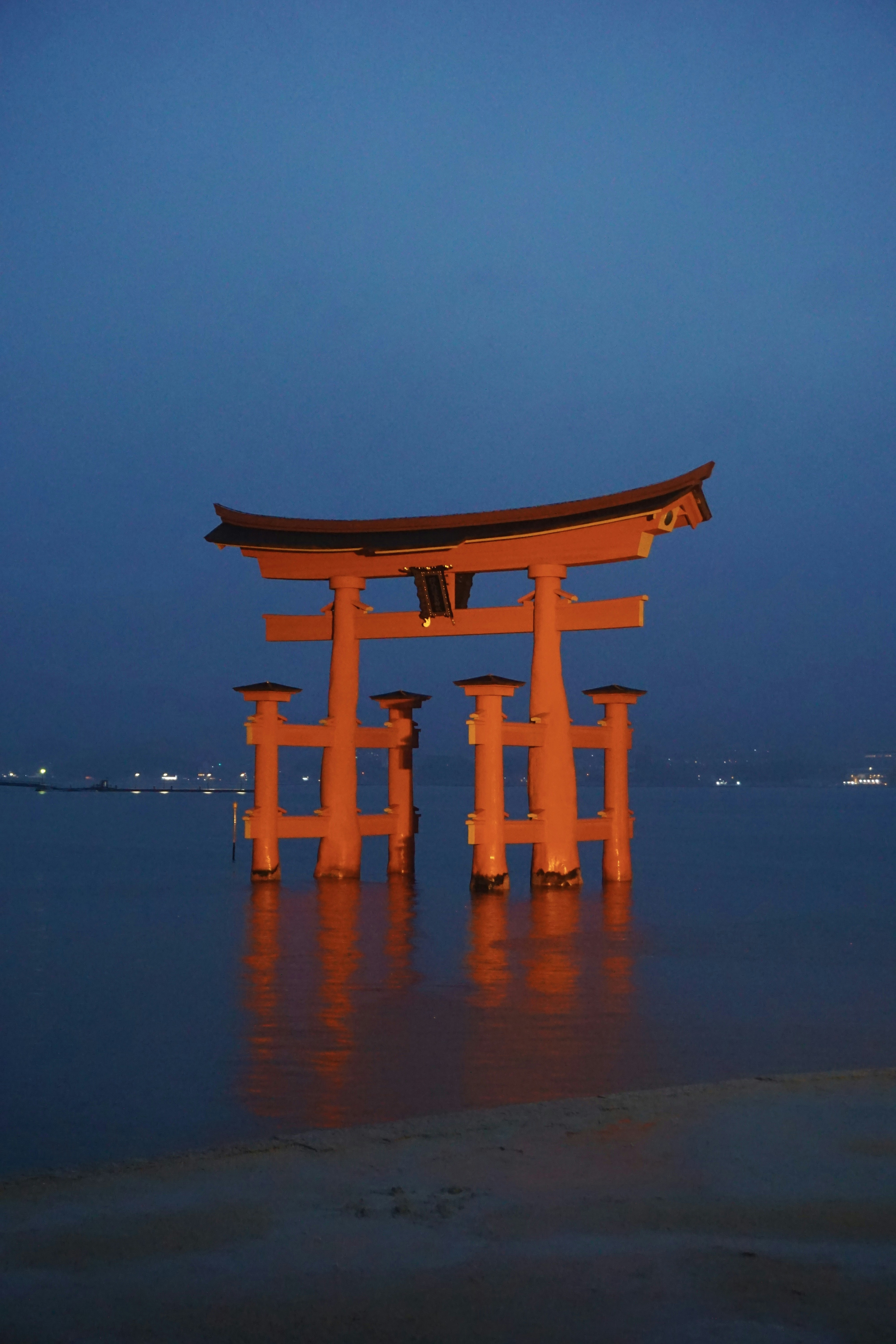 Photo by syria_polidoro