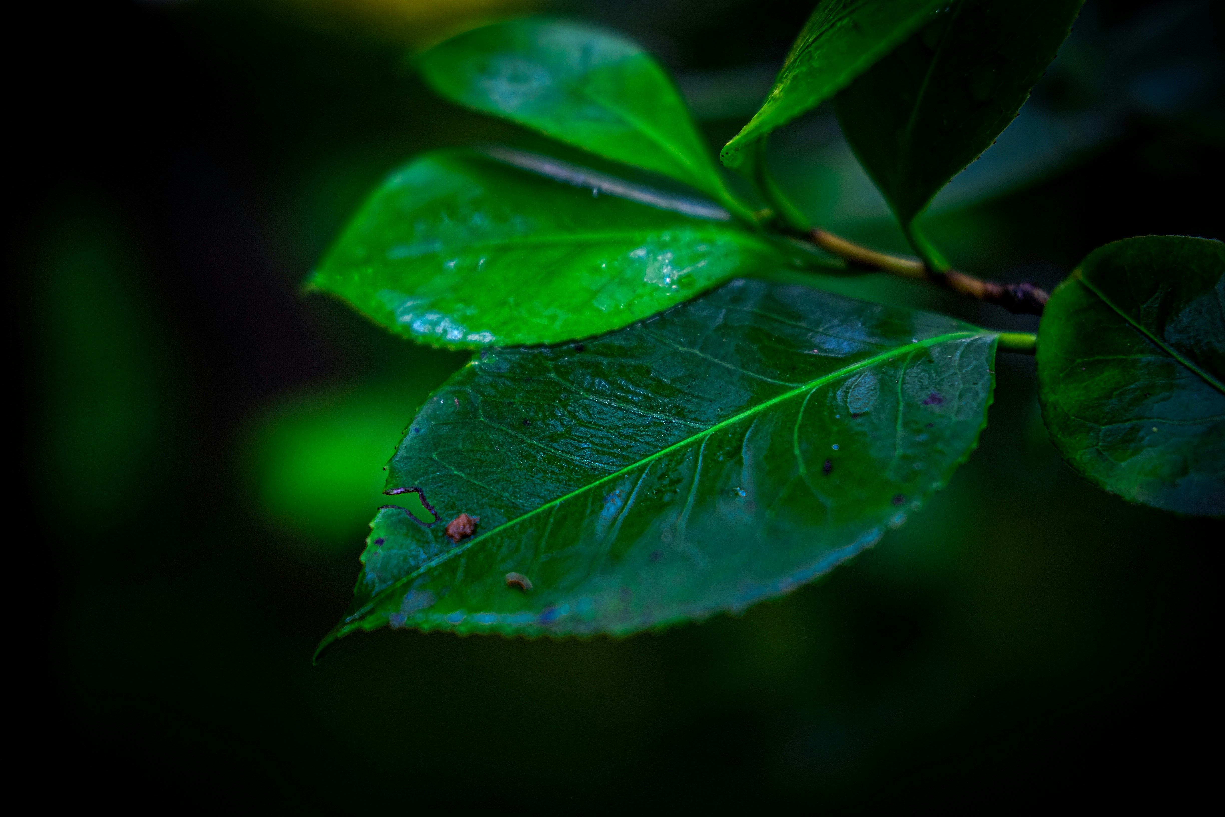 Photo by niccorbin13