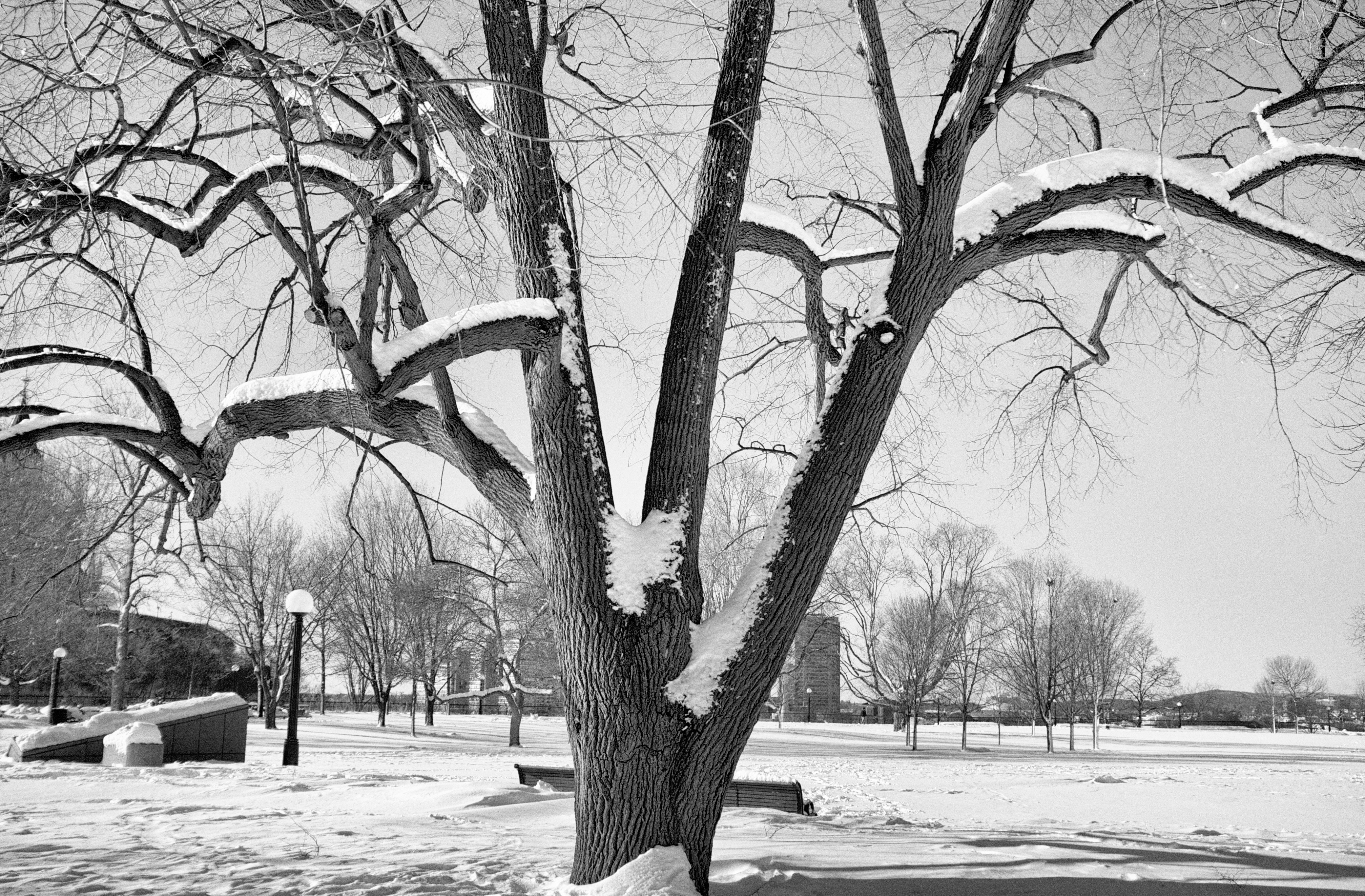 Photo by jonathankslim