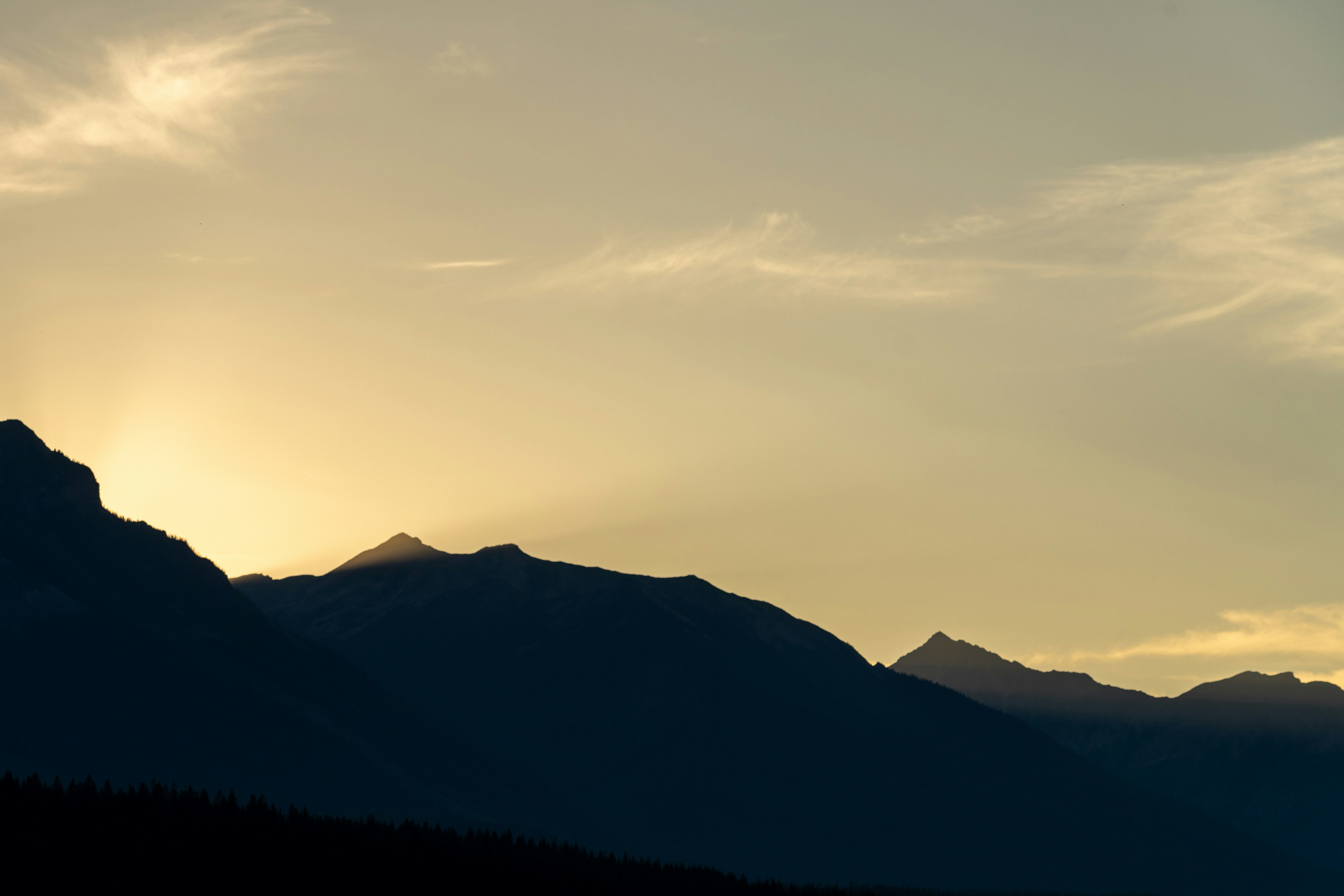 Photo by picture_scape