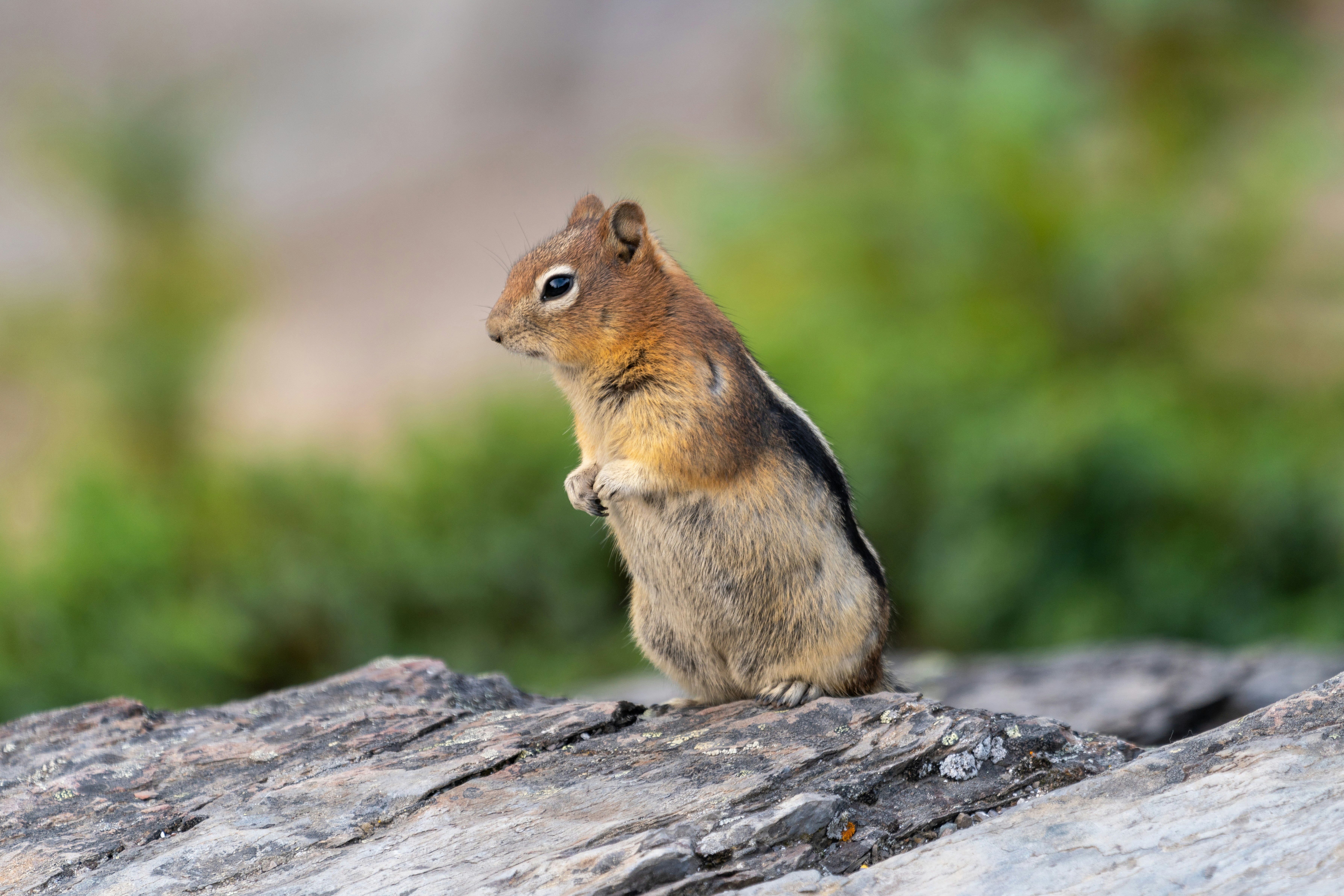 Photo by picture_scape