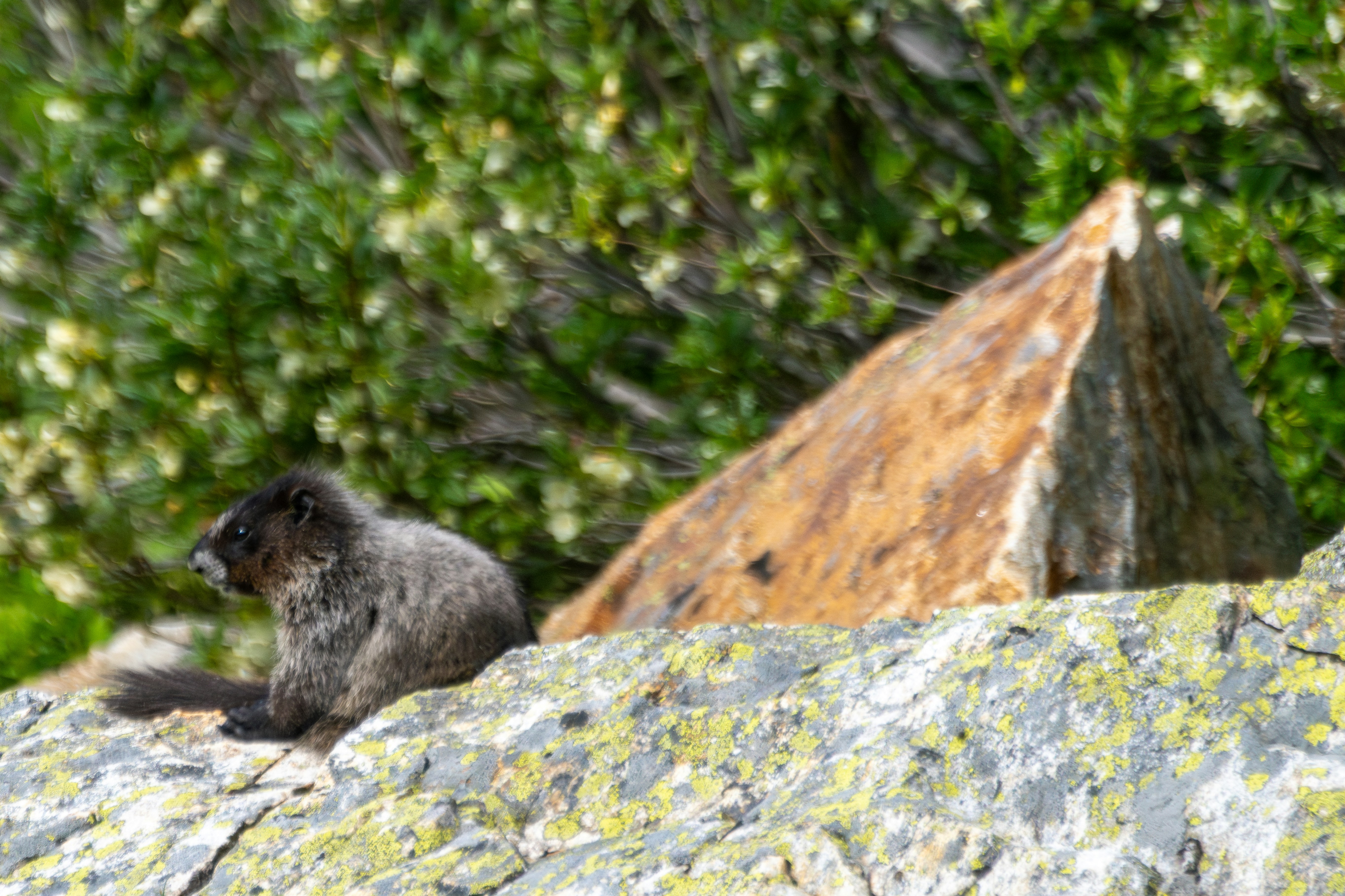 Photo by picture_scape