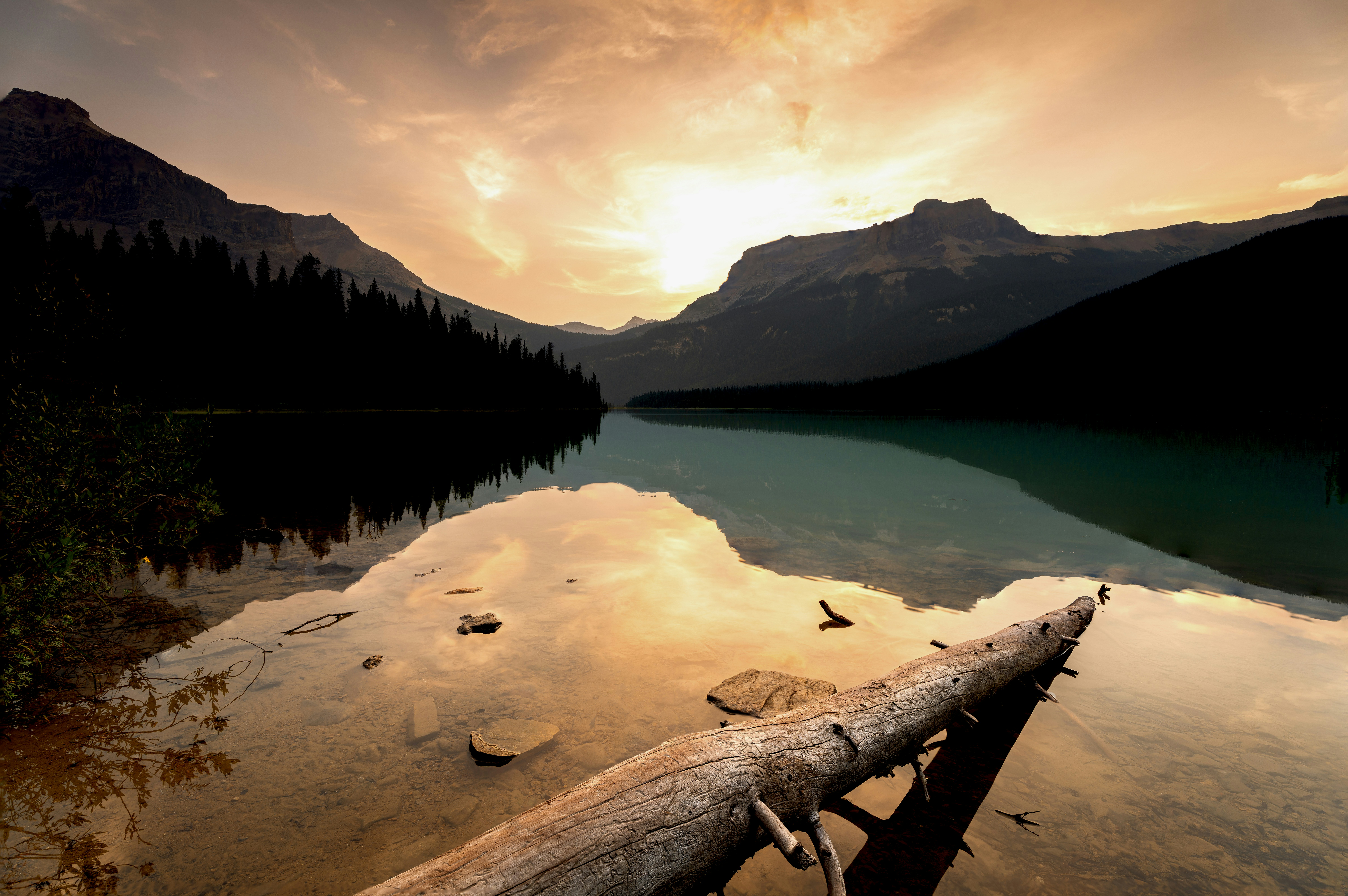 Photo by picture_scape