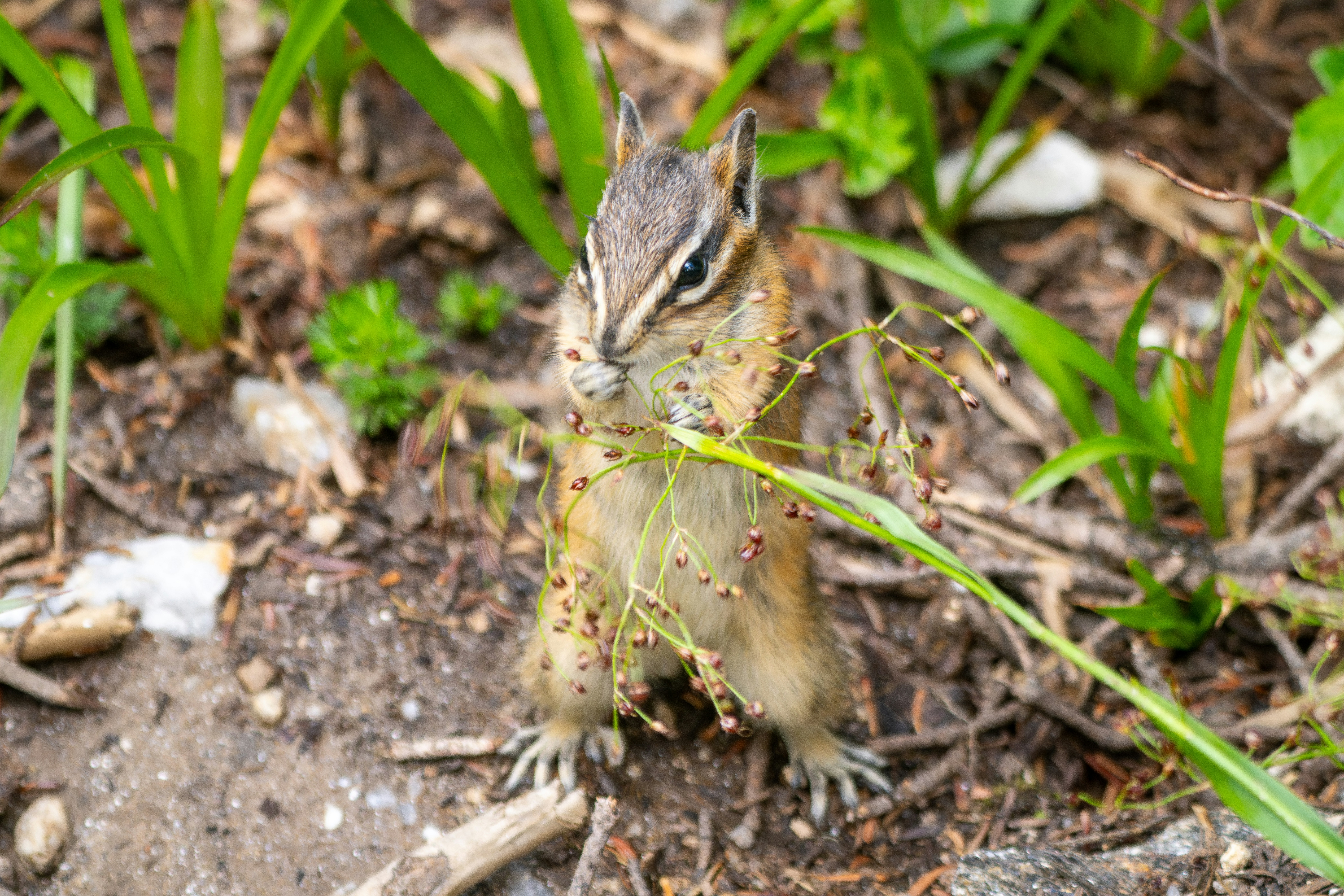 Photo by picture_scape