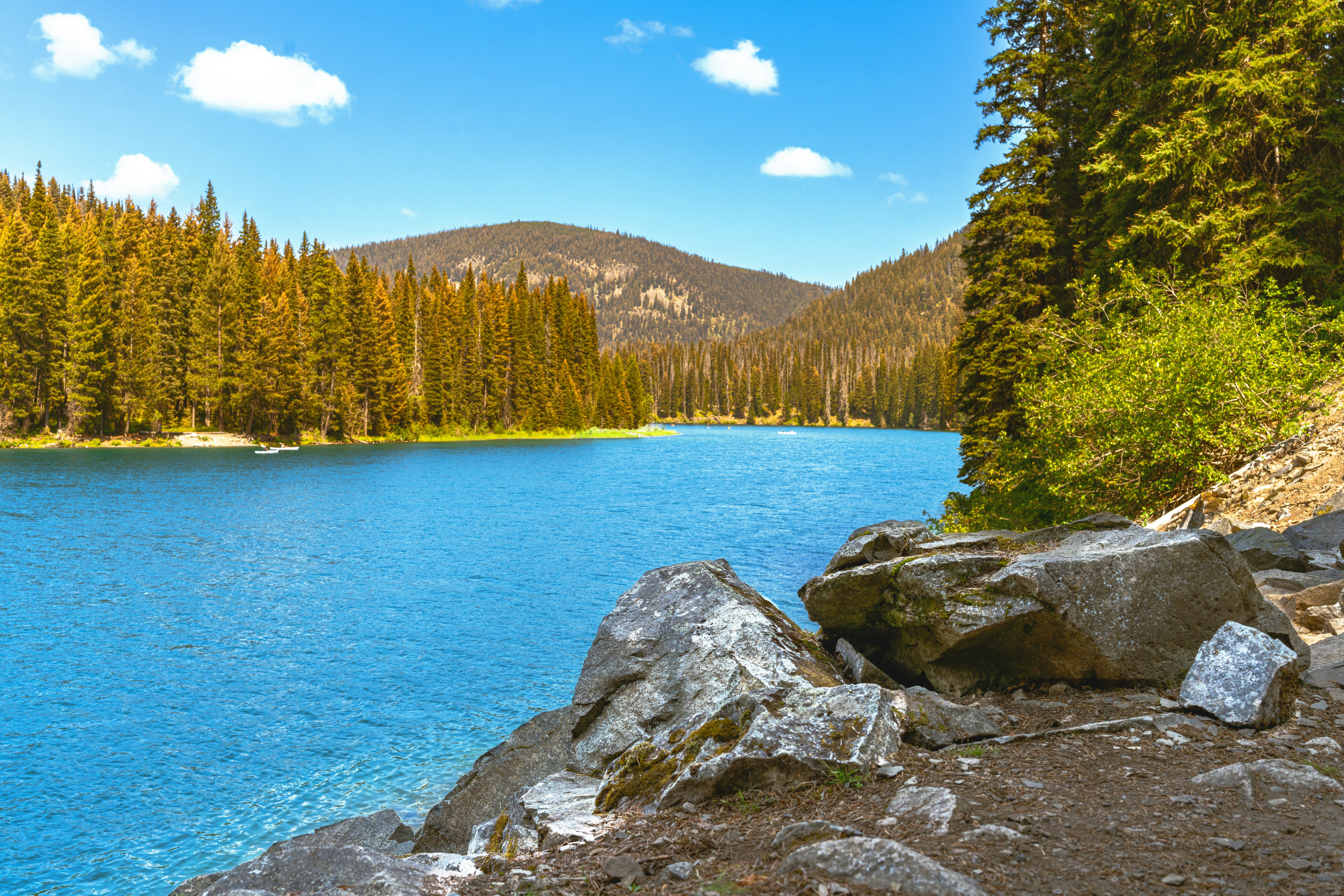 Photo by picture_scape