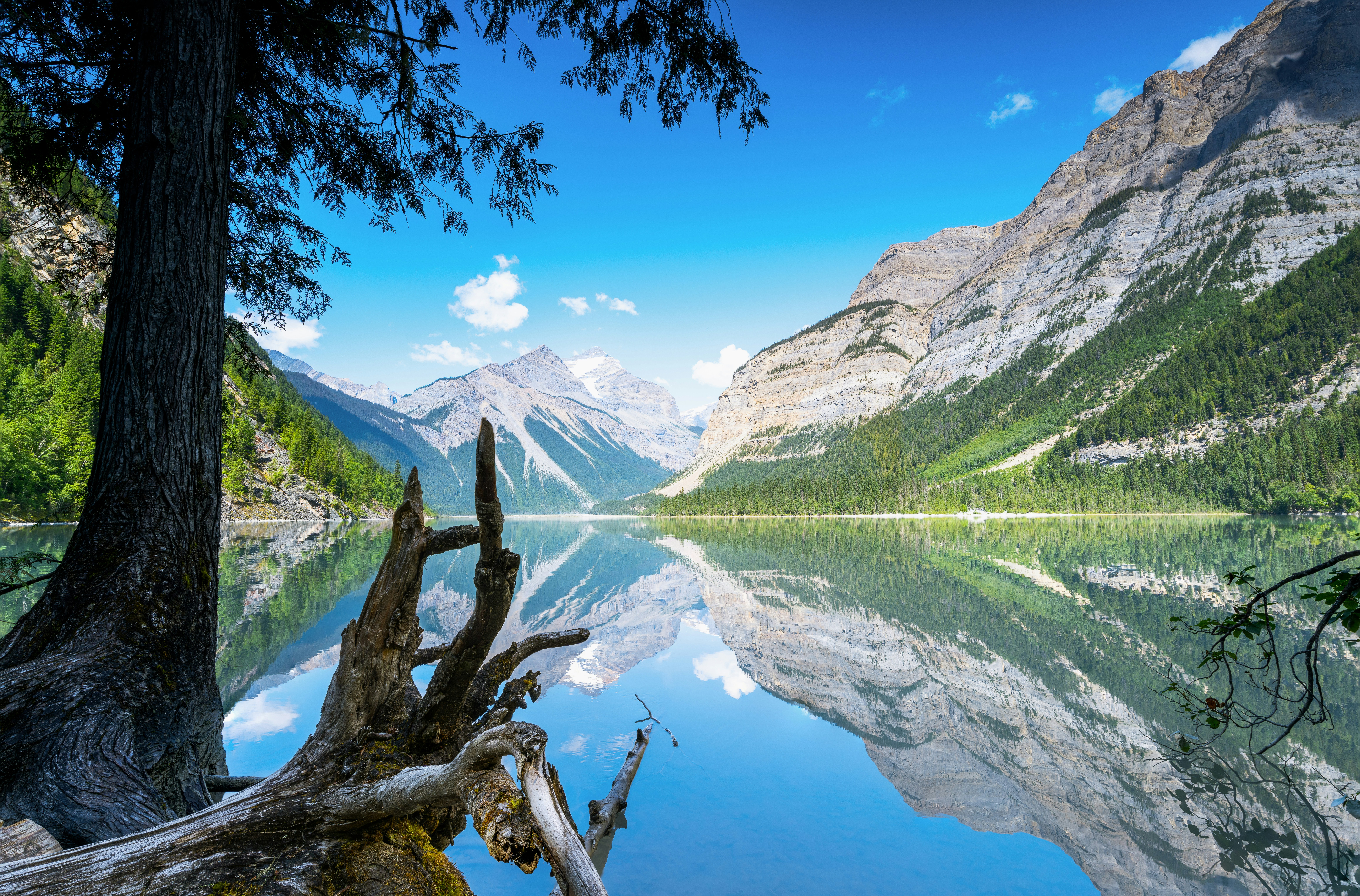 Photo by picture_scape