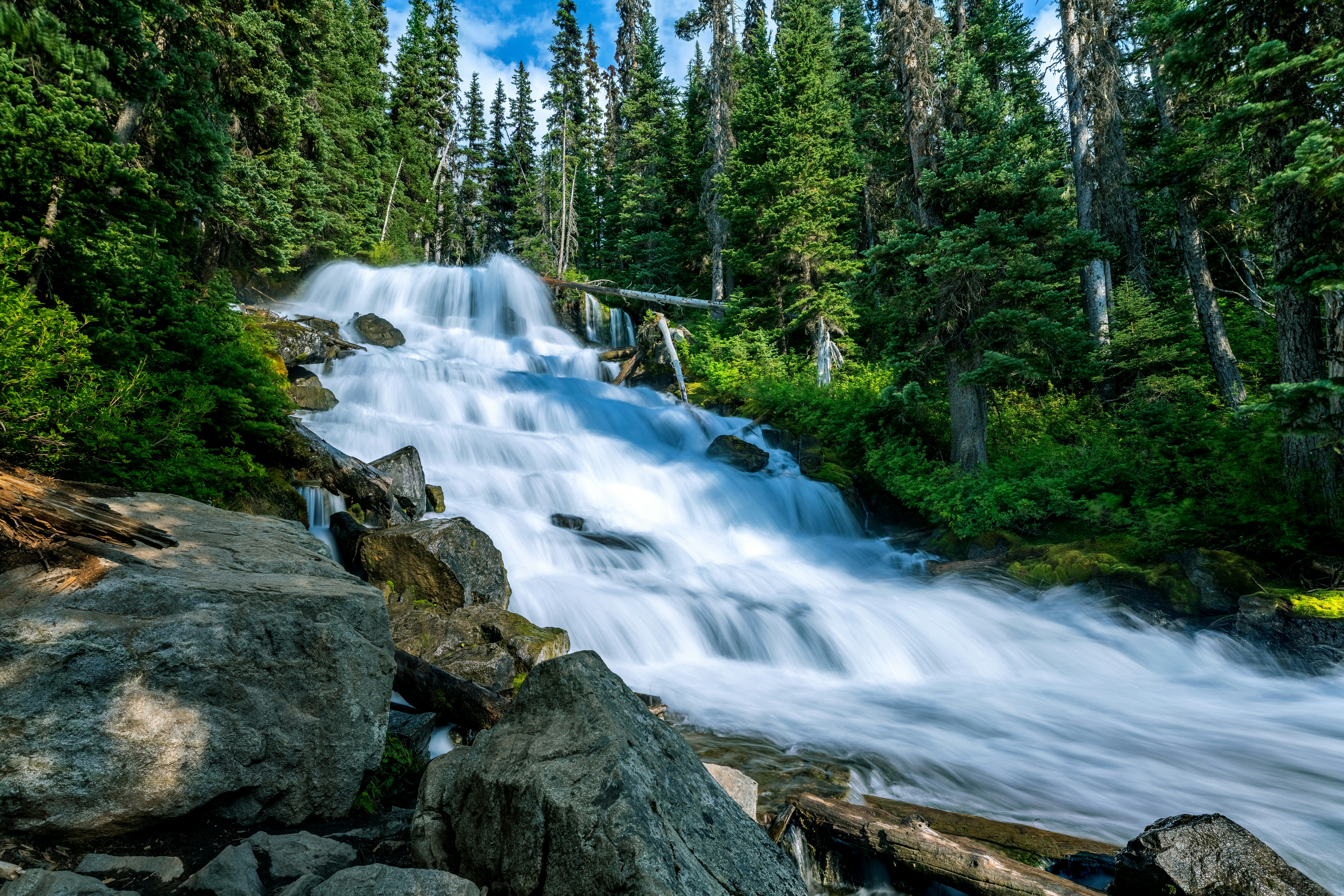 Photo by picture_scape