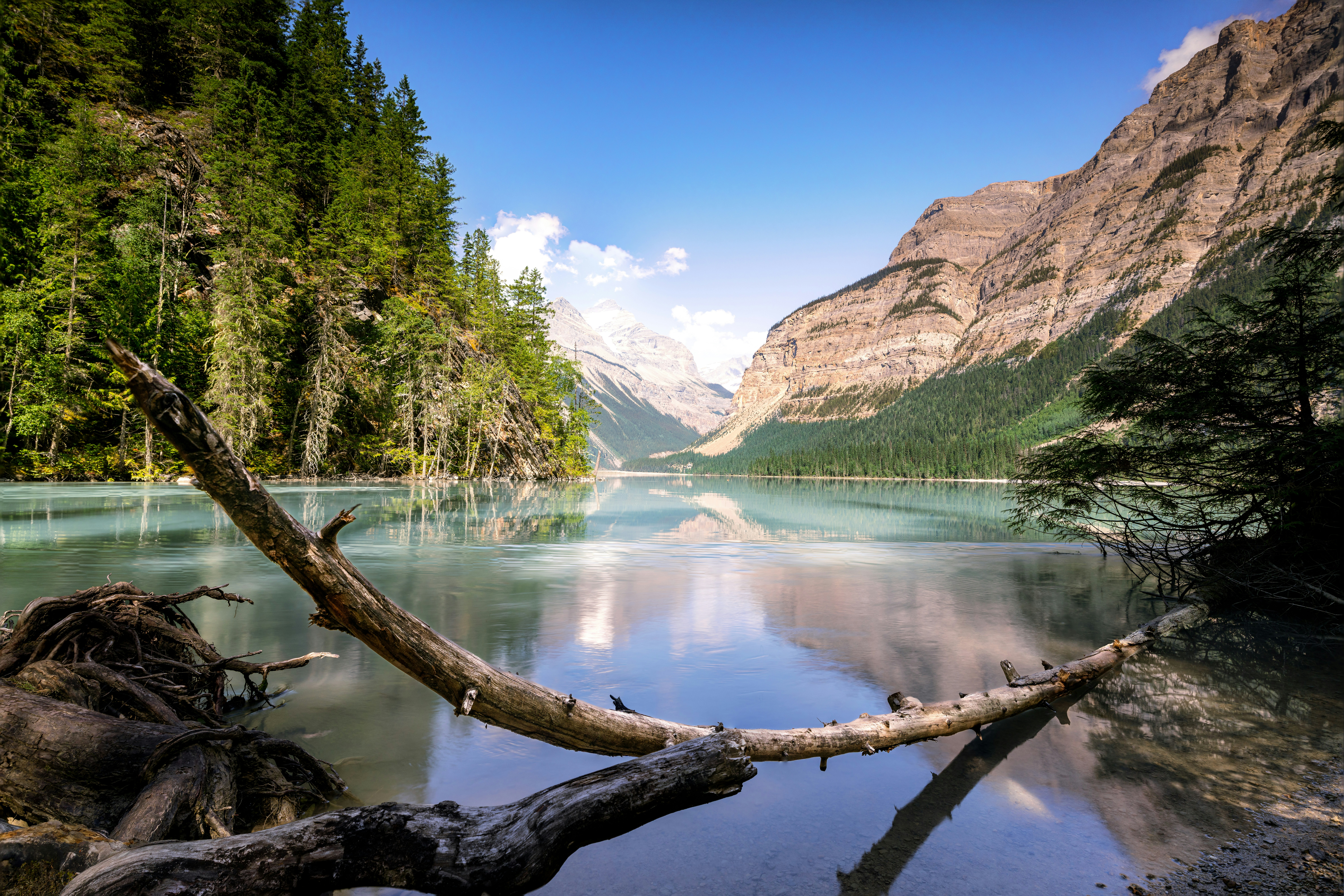 Photo by picture_scape