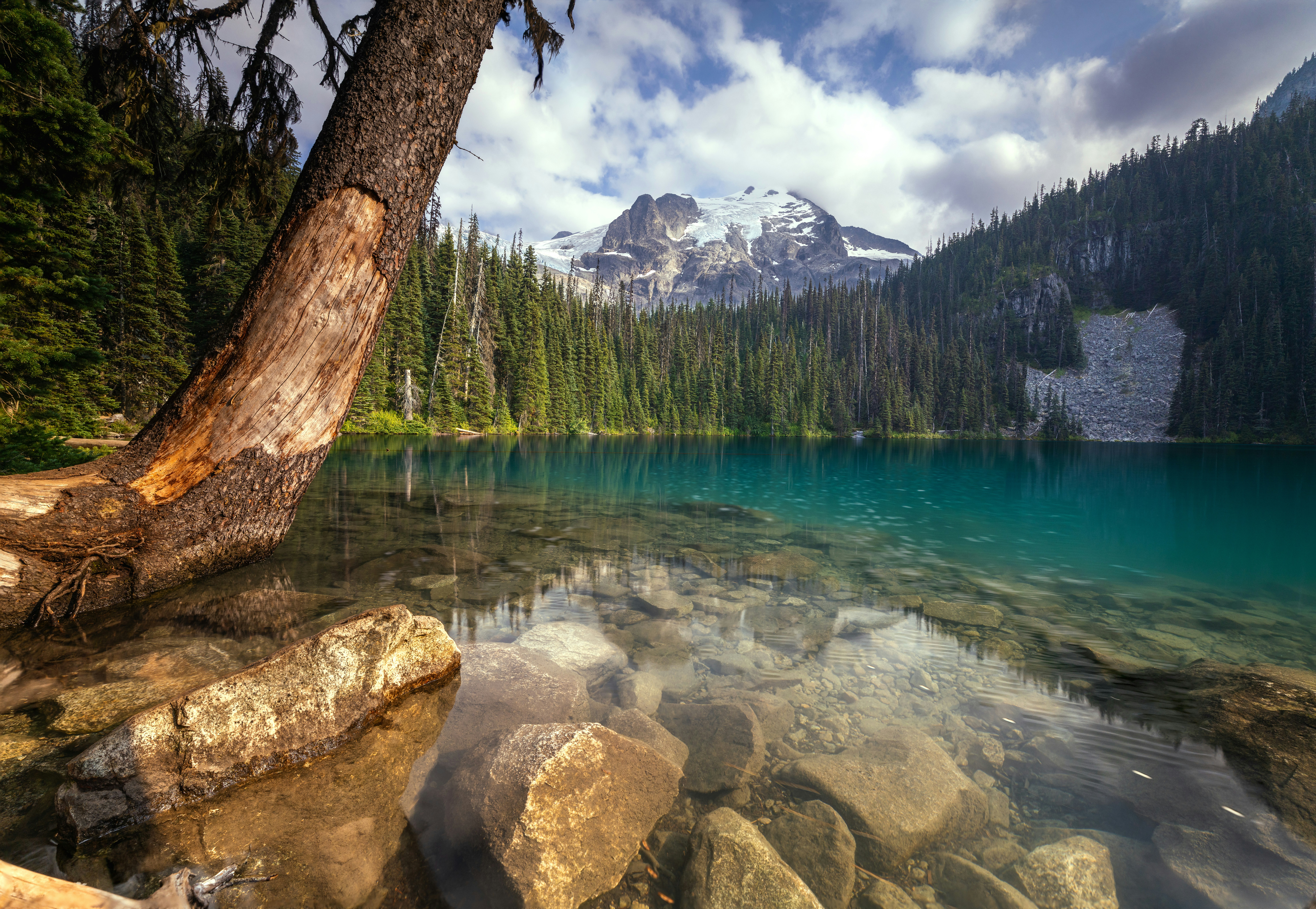 Photo by picture_scape