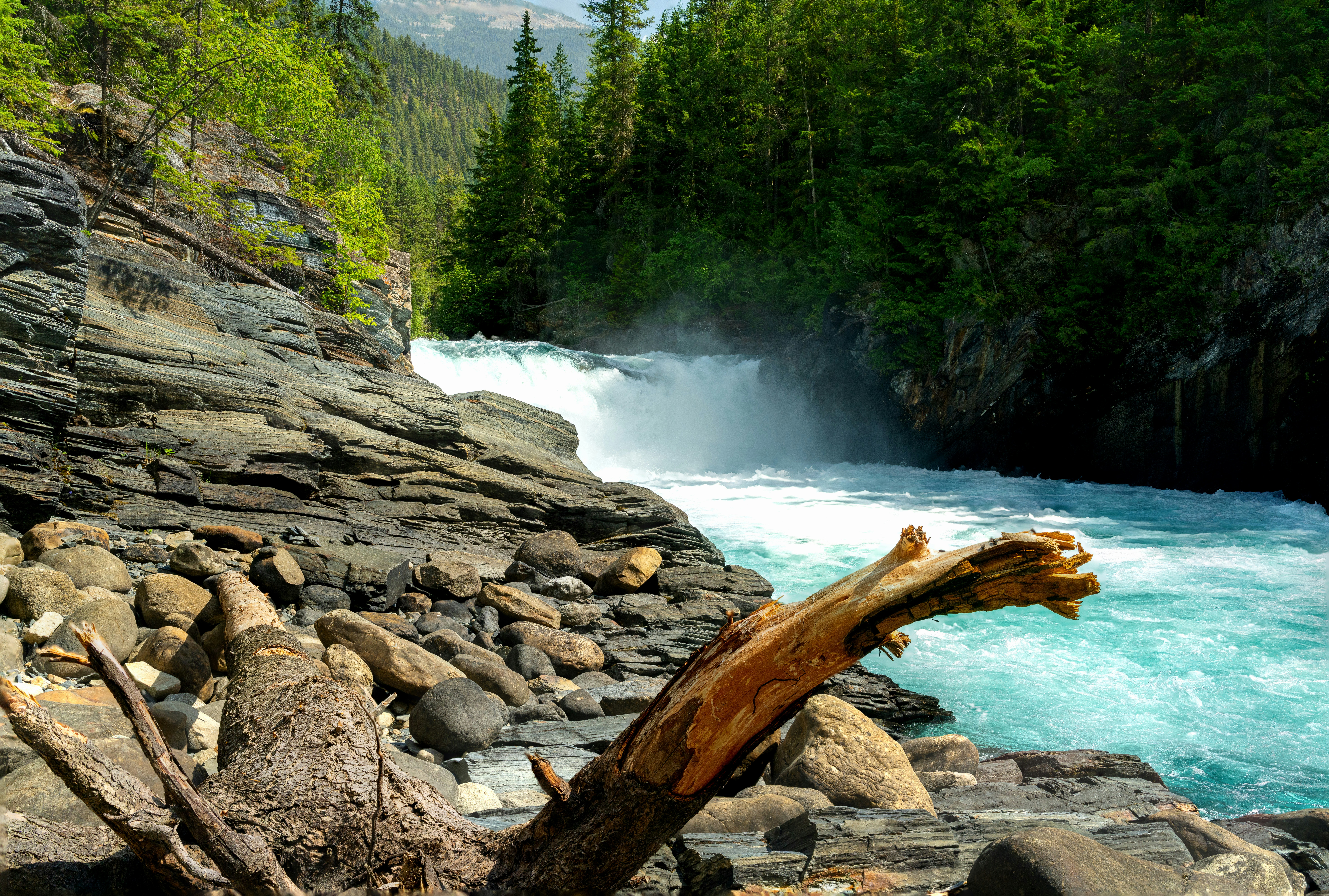 Photo by picture_scape