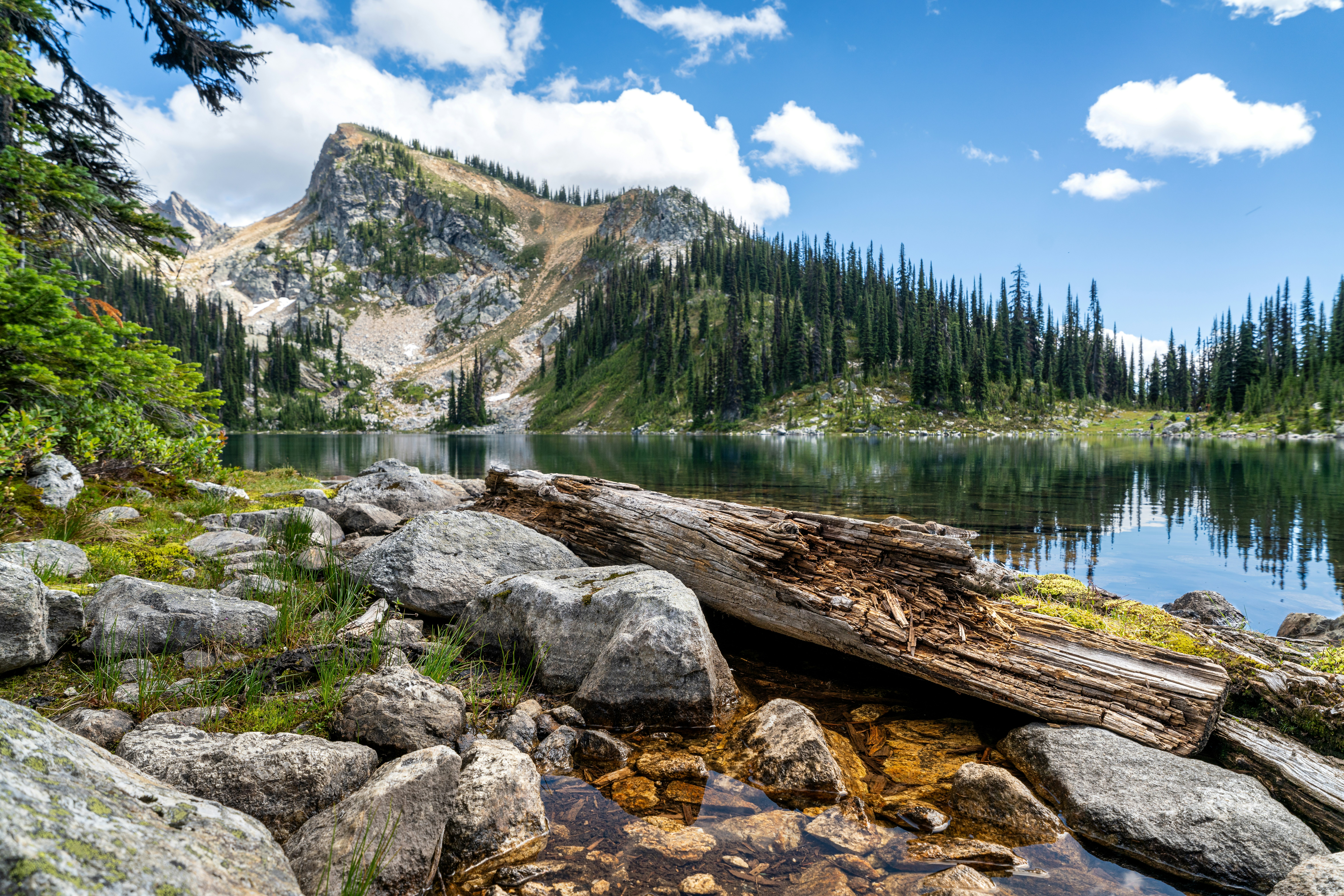 Photo by picture_scape